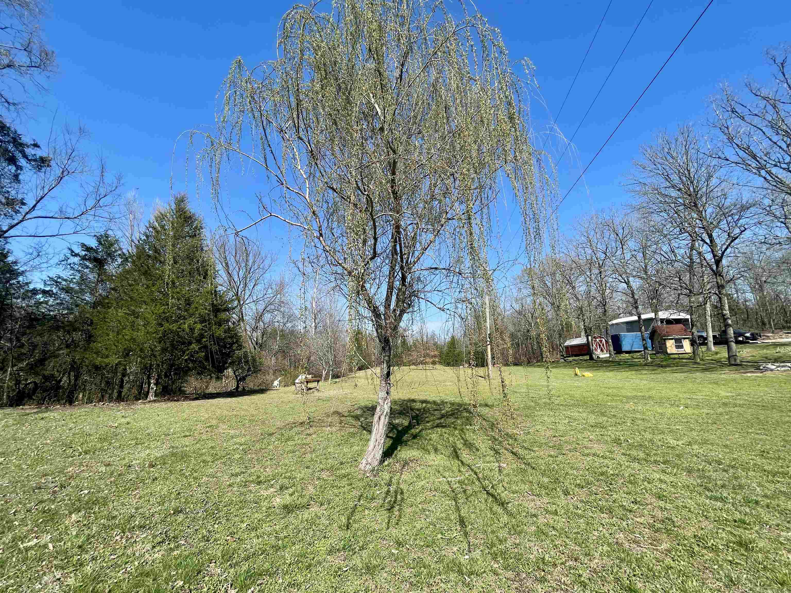 122 Runway Lane Salem, AR 72576