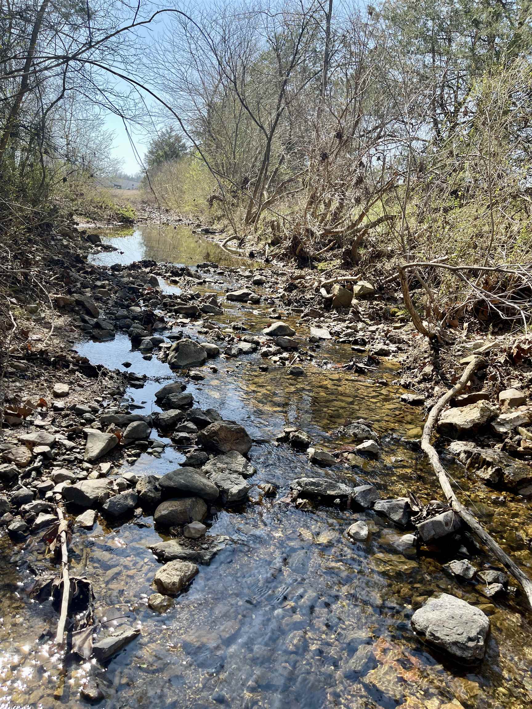 122 Runway Lane Salem, AR 72576