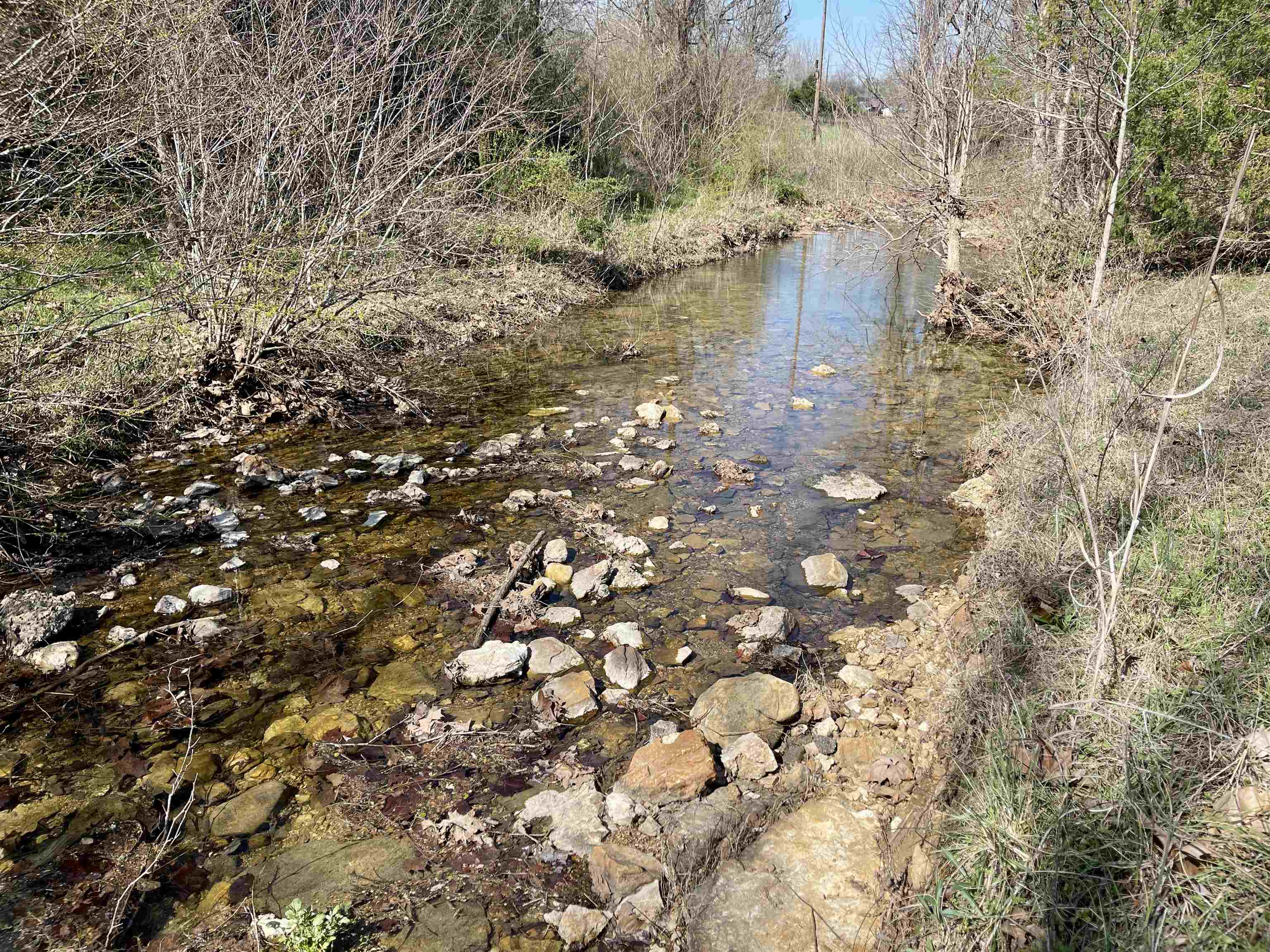 122 Runway Lane Salem, AR 72576