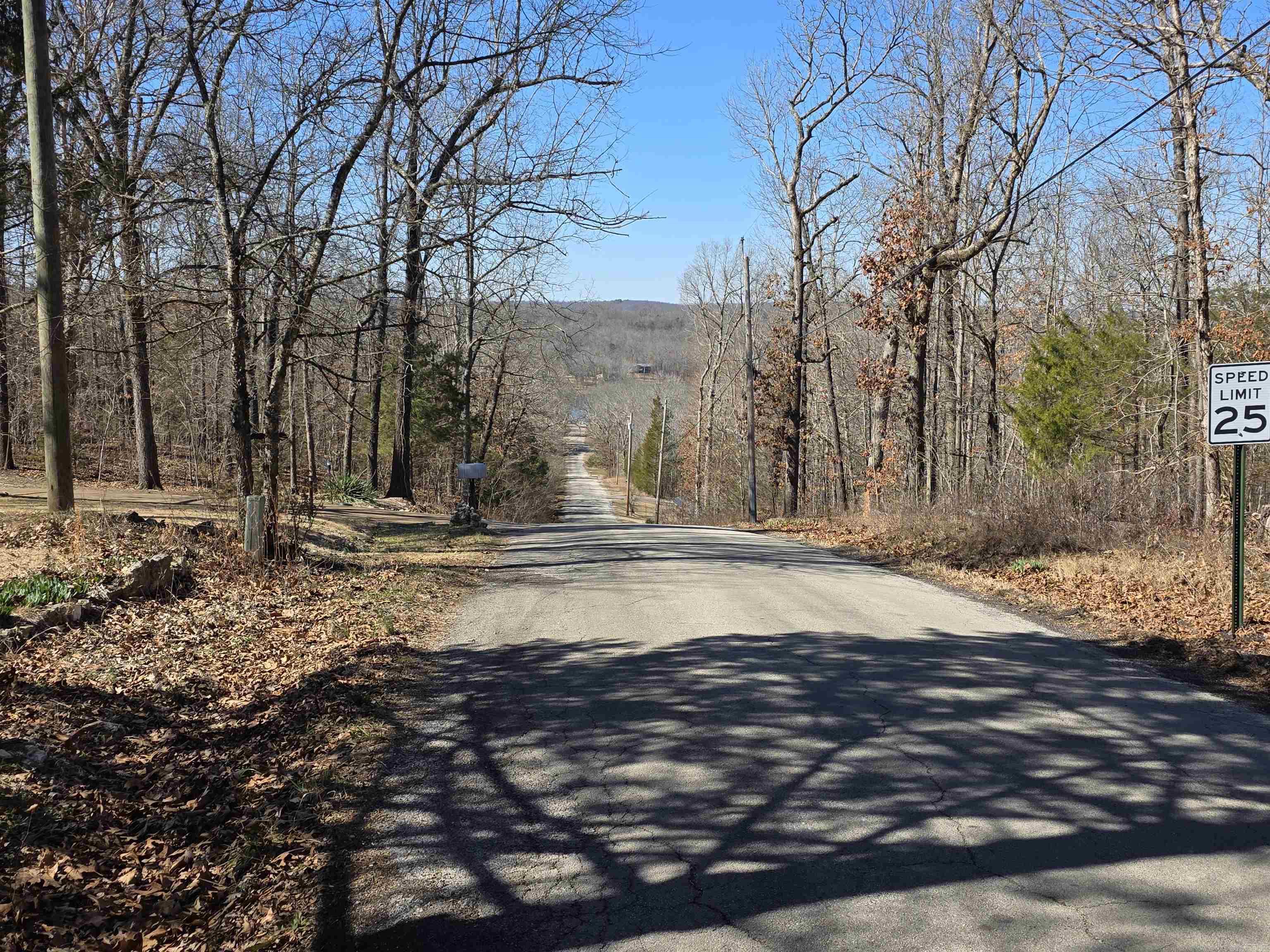 42 Pontiac  Cherokee Village, AR