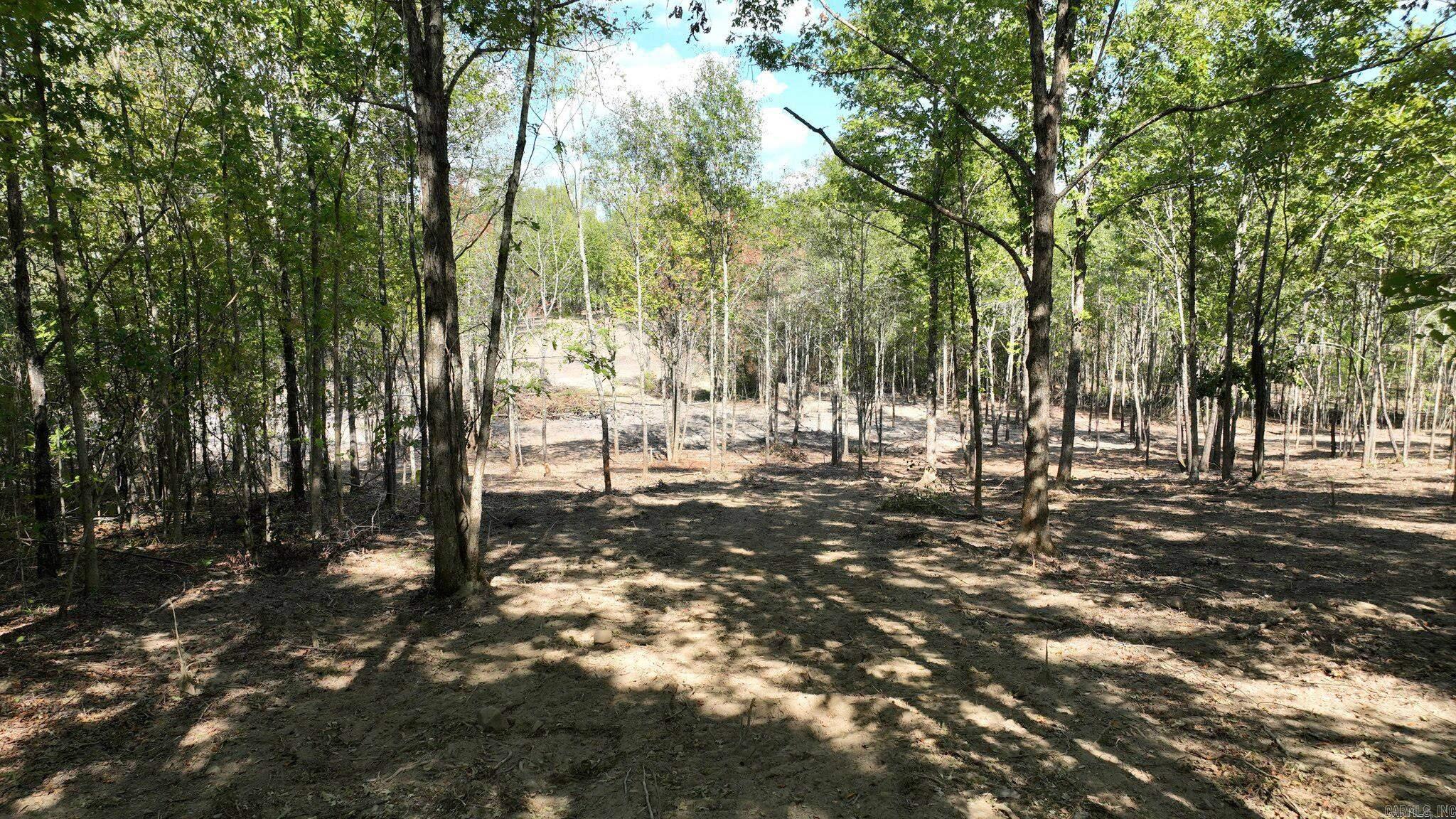 TBD, Tract 3 Polk Road 158  Mena, AR