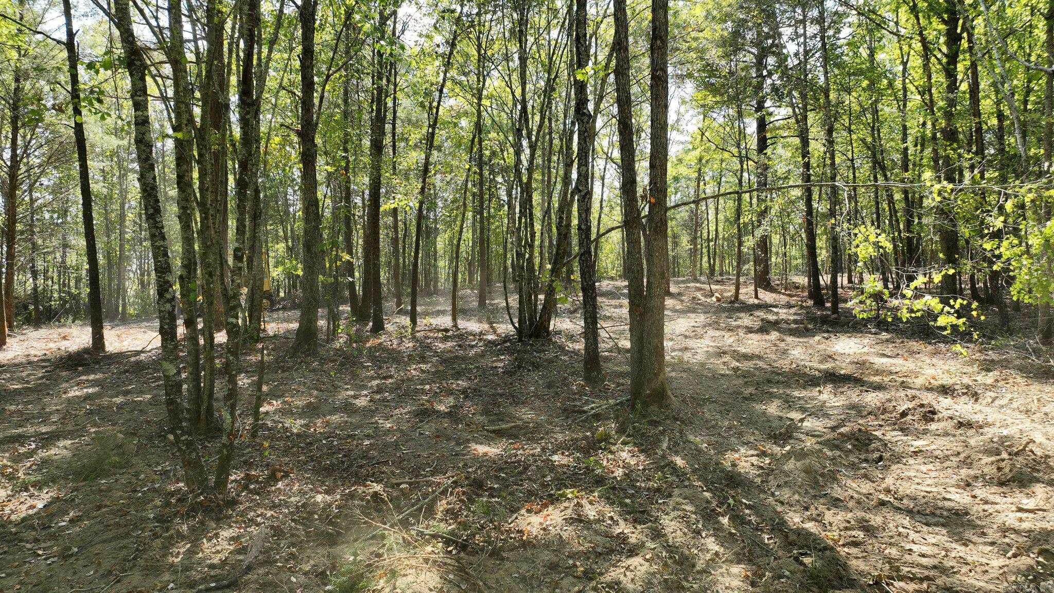 TBD, Tract 3 Polk Road 158  Mena, AR