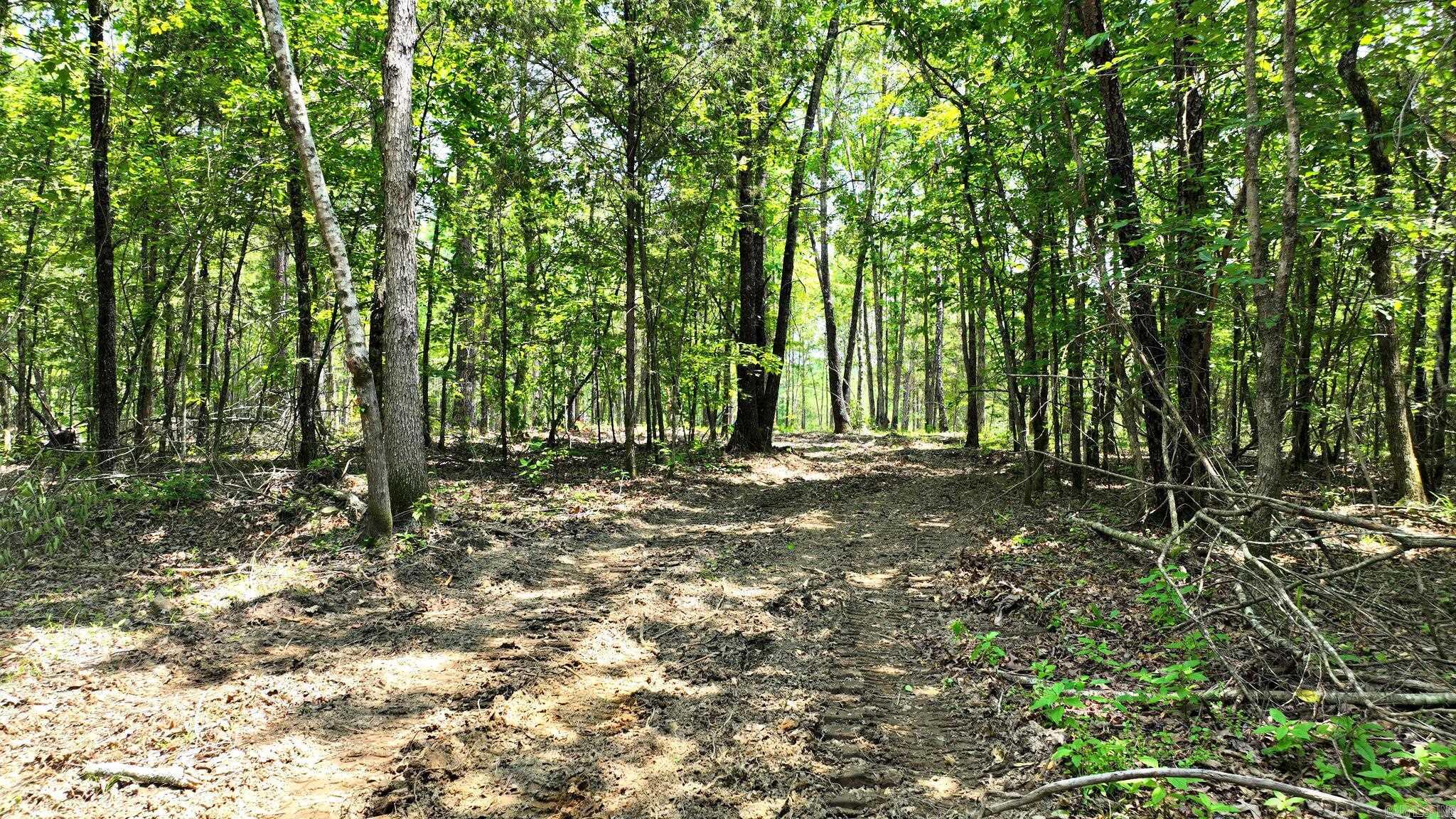 TBD, Tract 3 Polk Road 158  Mena, AR