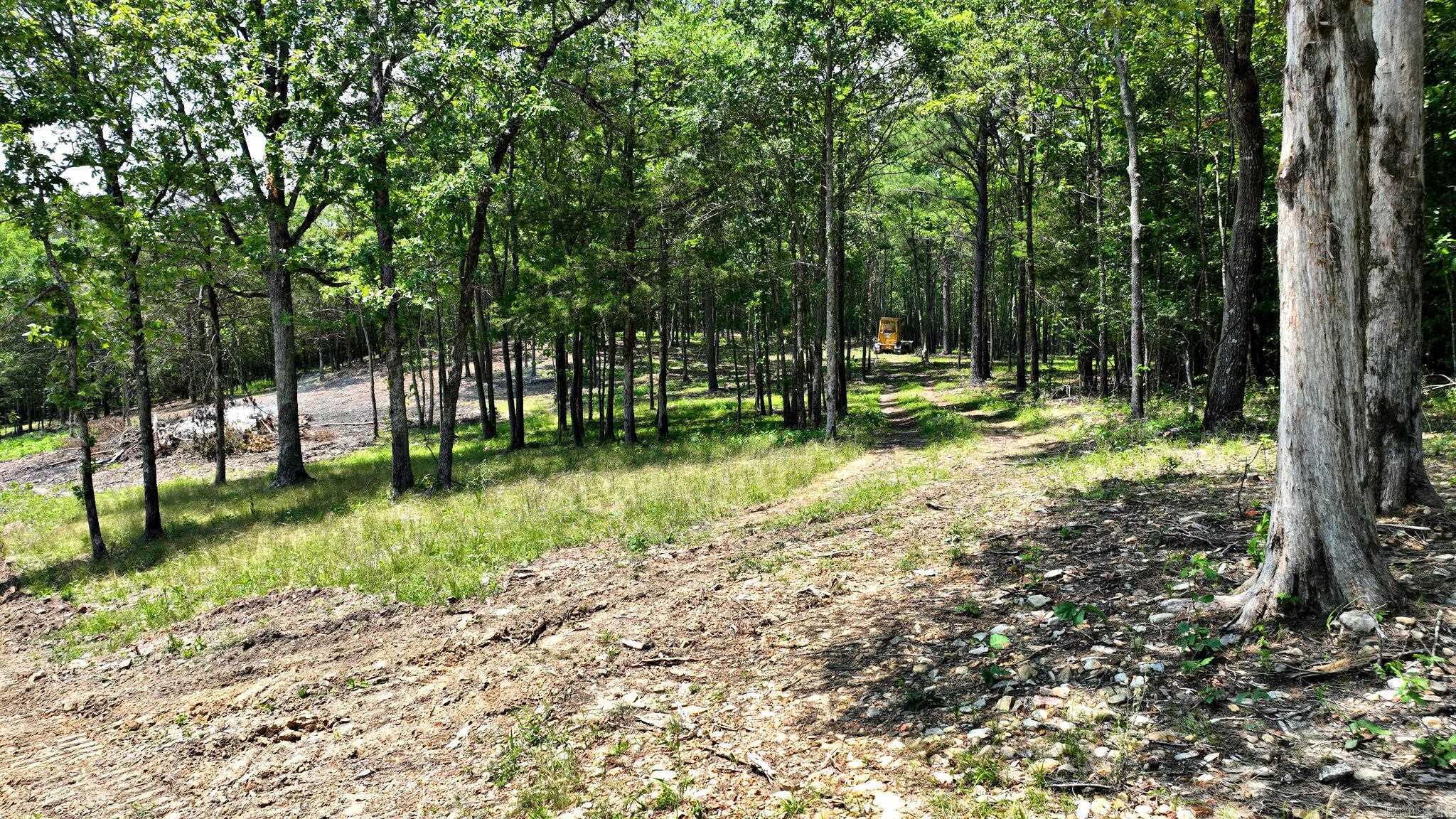 TBD, Tract 3 Polk Road 158  Mena, AR