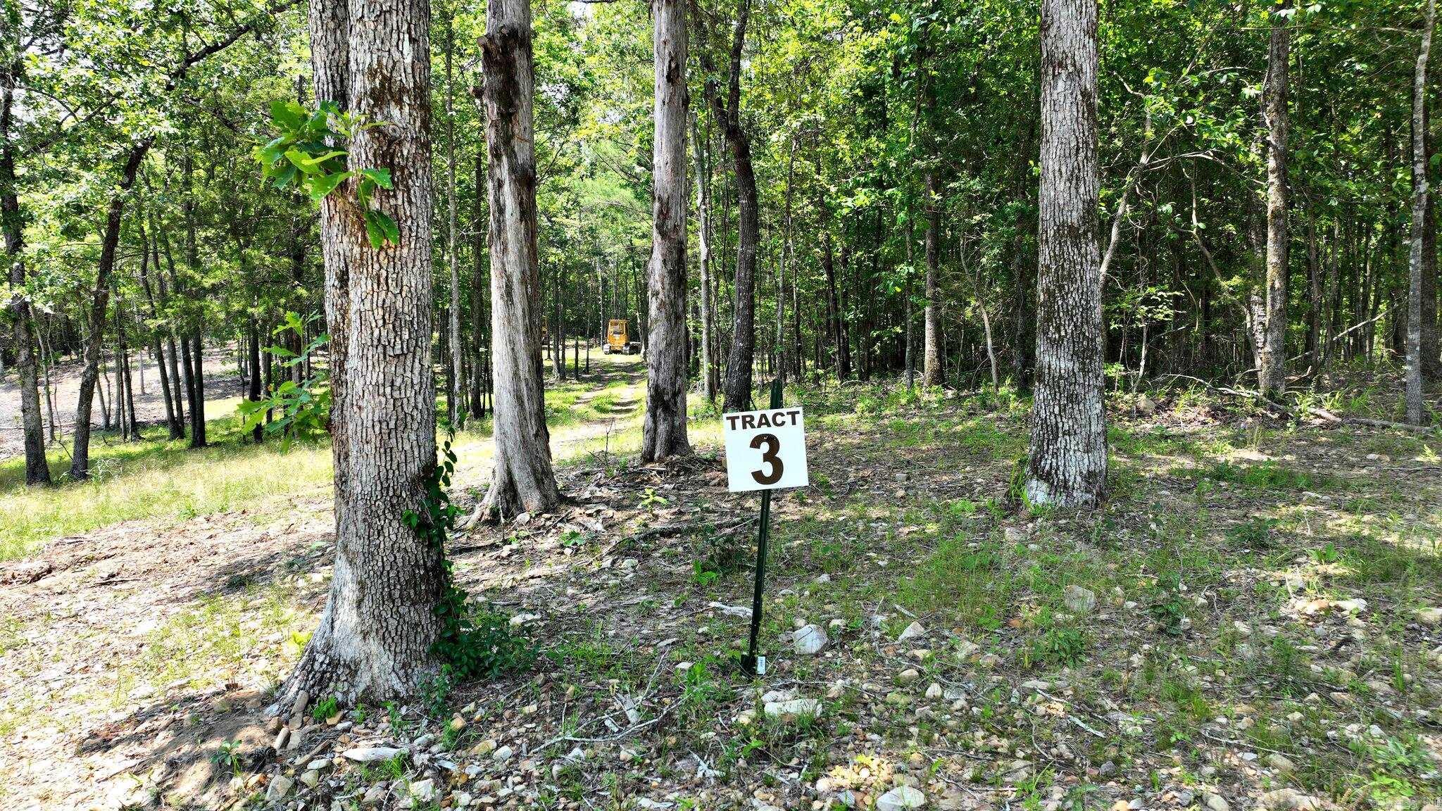 TBD, Tract 3 Polk Road 158  Mena, AR