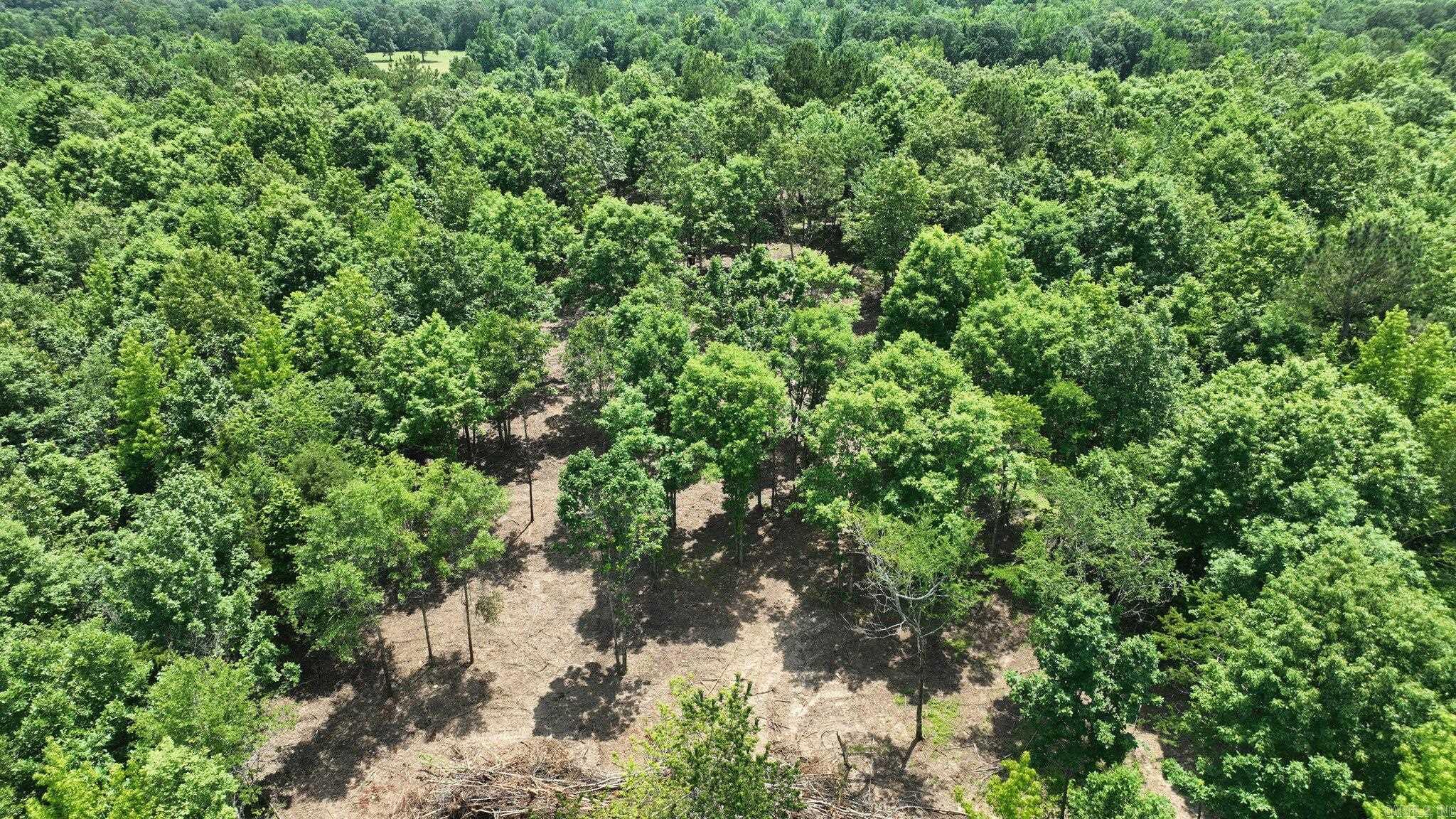 TBD, Tract 3 Polk Road 158  Mena, AR