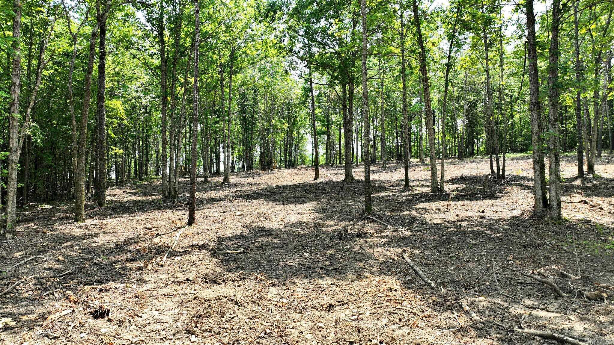 TBD, Tract 3 Polk Road 158  Mena, AR