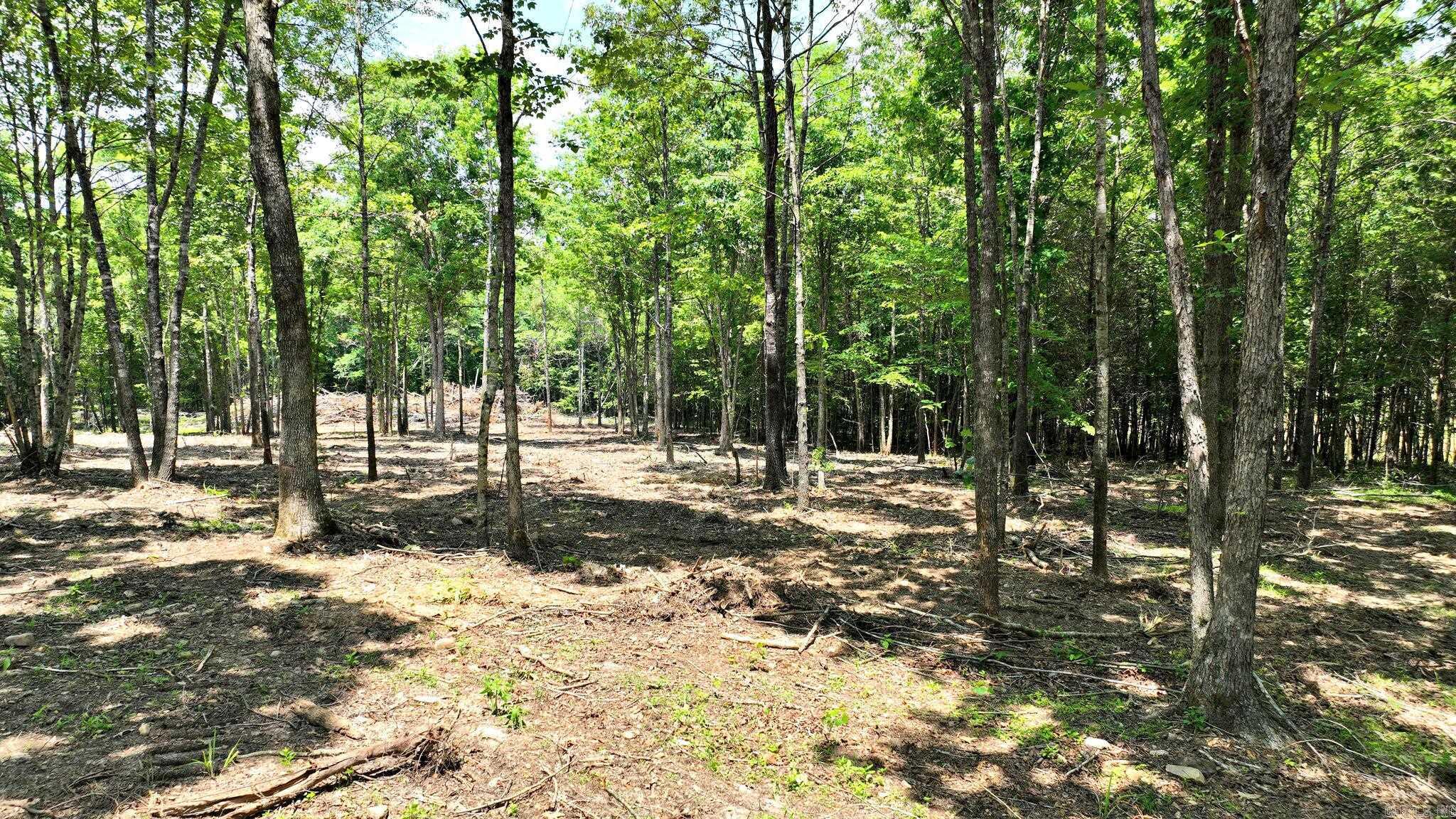 TBD, Tract 3 Polk Road 158  Mena, AR