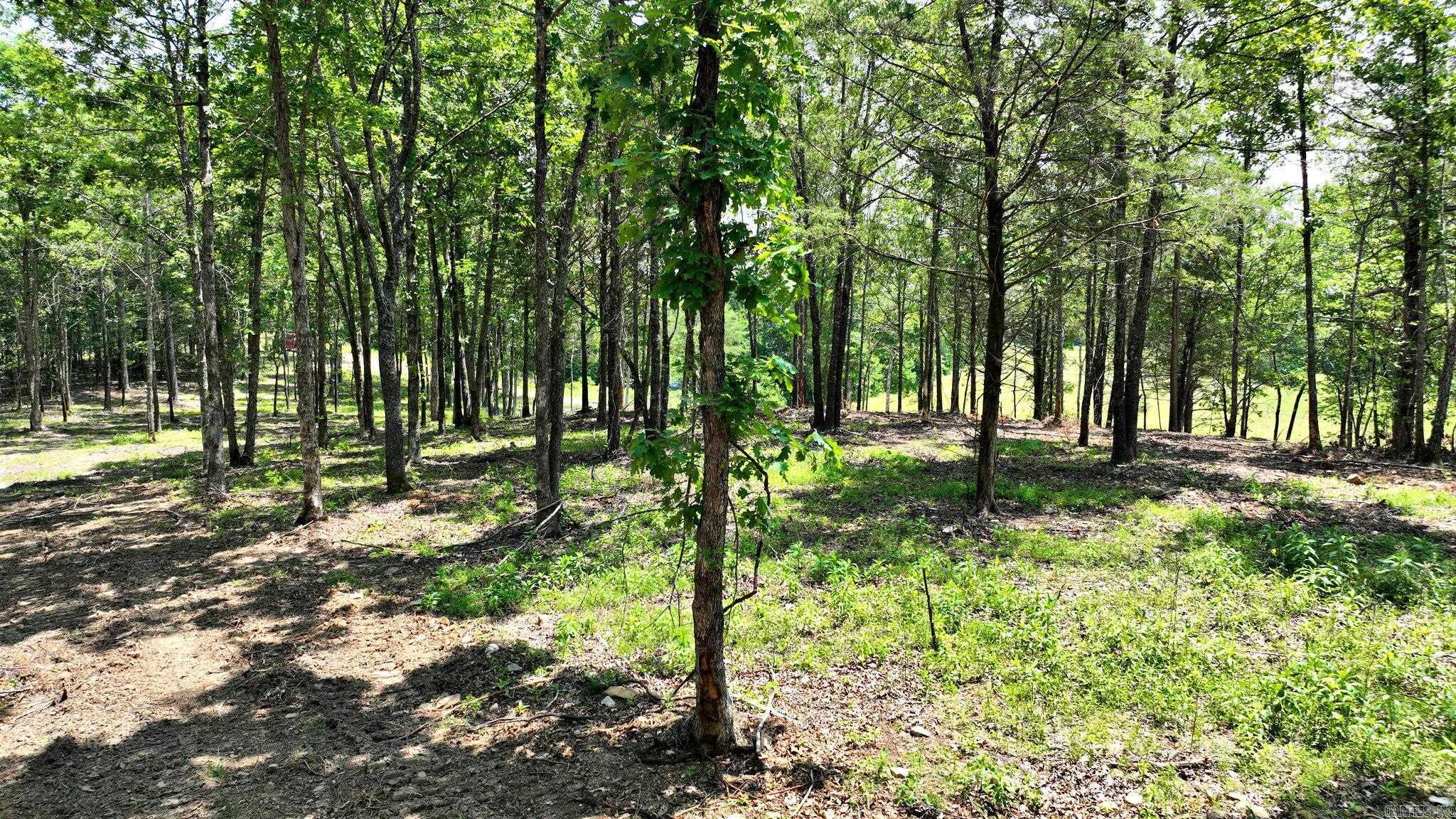 TBD, Tract 3 Polk Road 158  Mena, AR