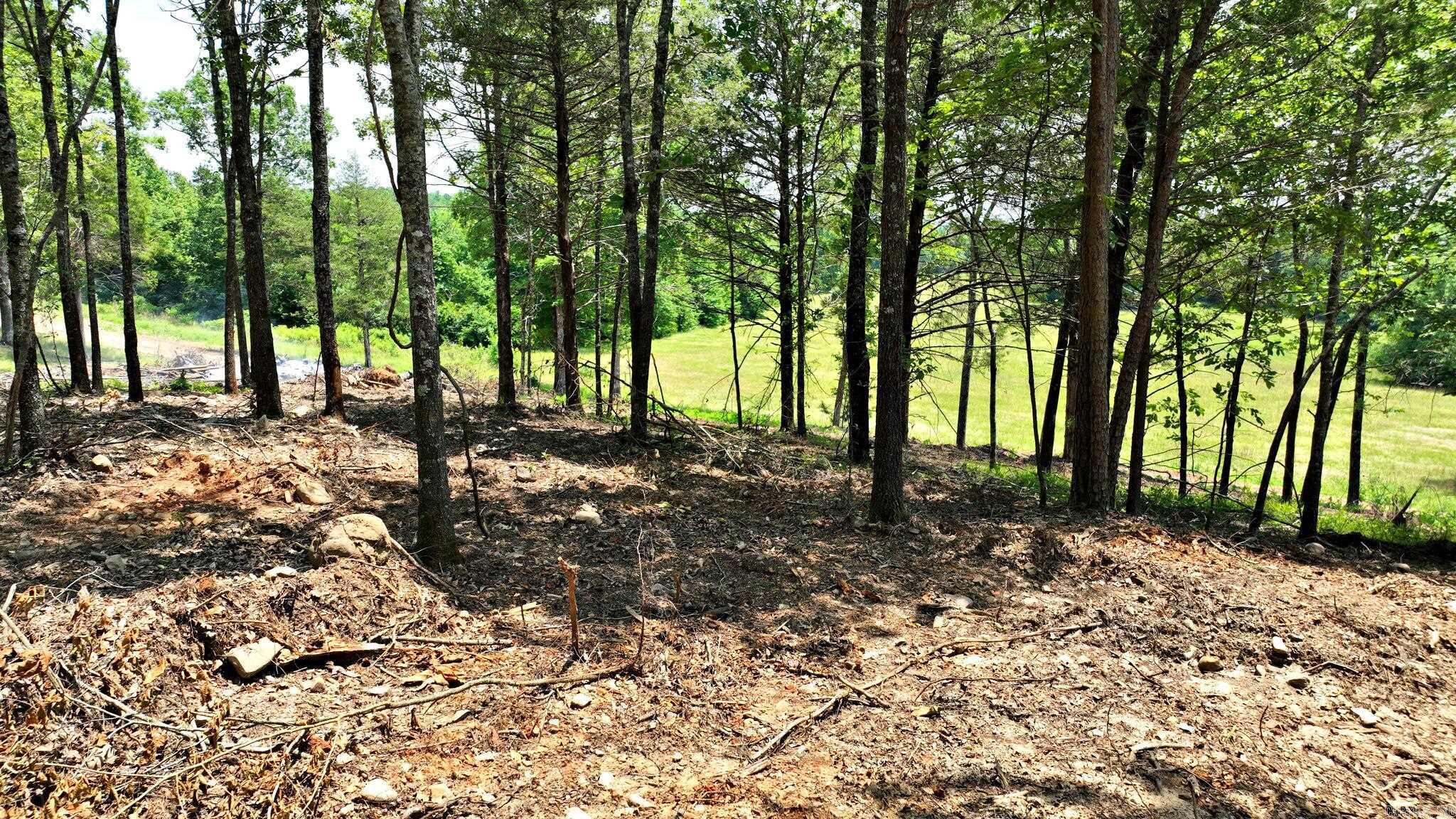 TBD, Tract 3 Polk Road 158  Mena, AR