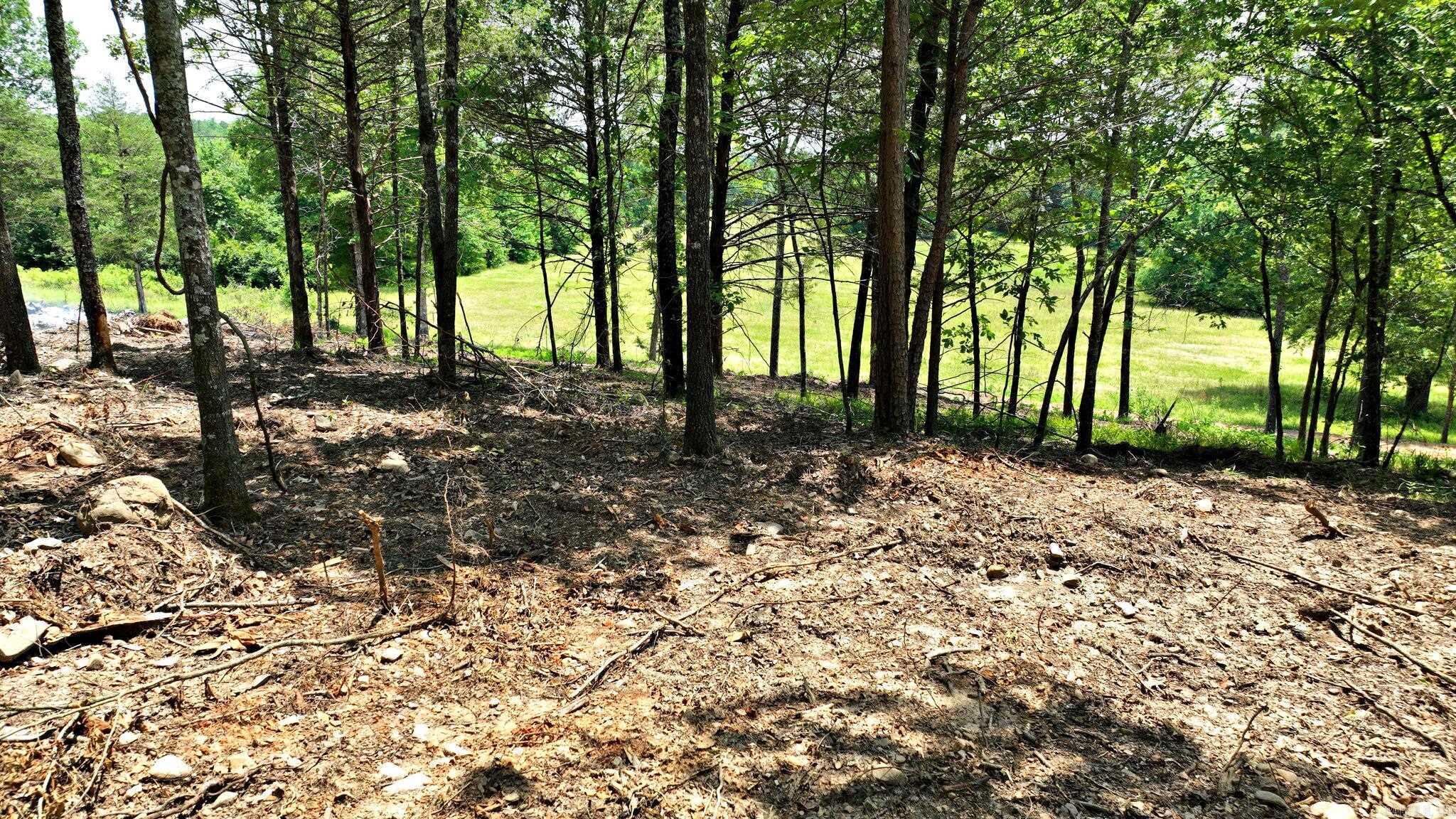 TBD, Tract 3 Polk Road 158  Mena, AR