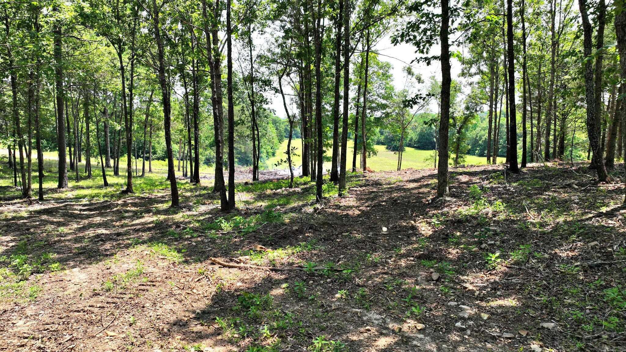 TBD, Tract 3 Polk Road 158  Mena, AR