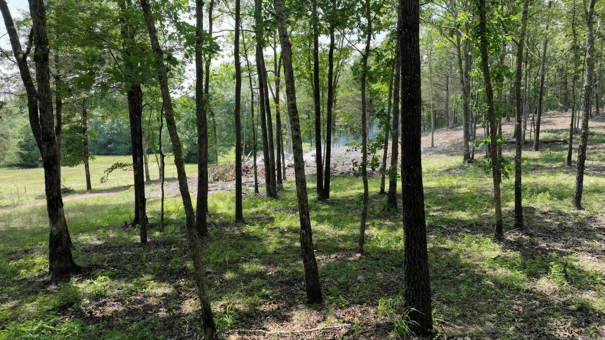 TBD, Tract 3 Polk Road 158  Mena, AR