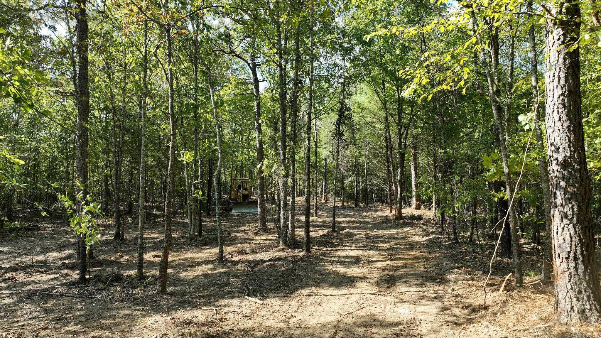 TBD, Tract 3 Polk Road 158  Mena, AR