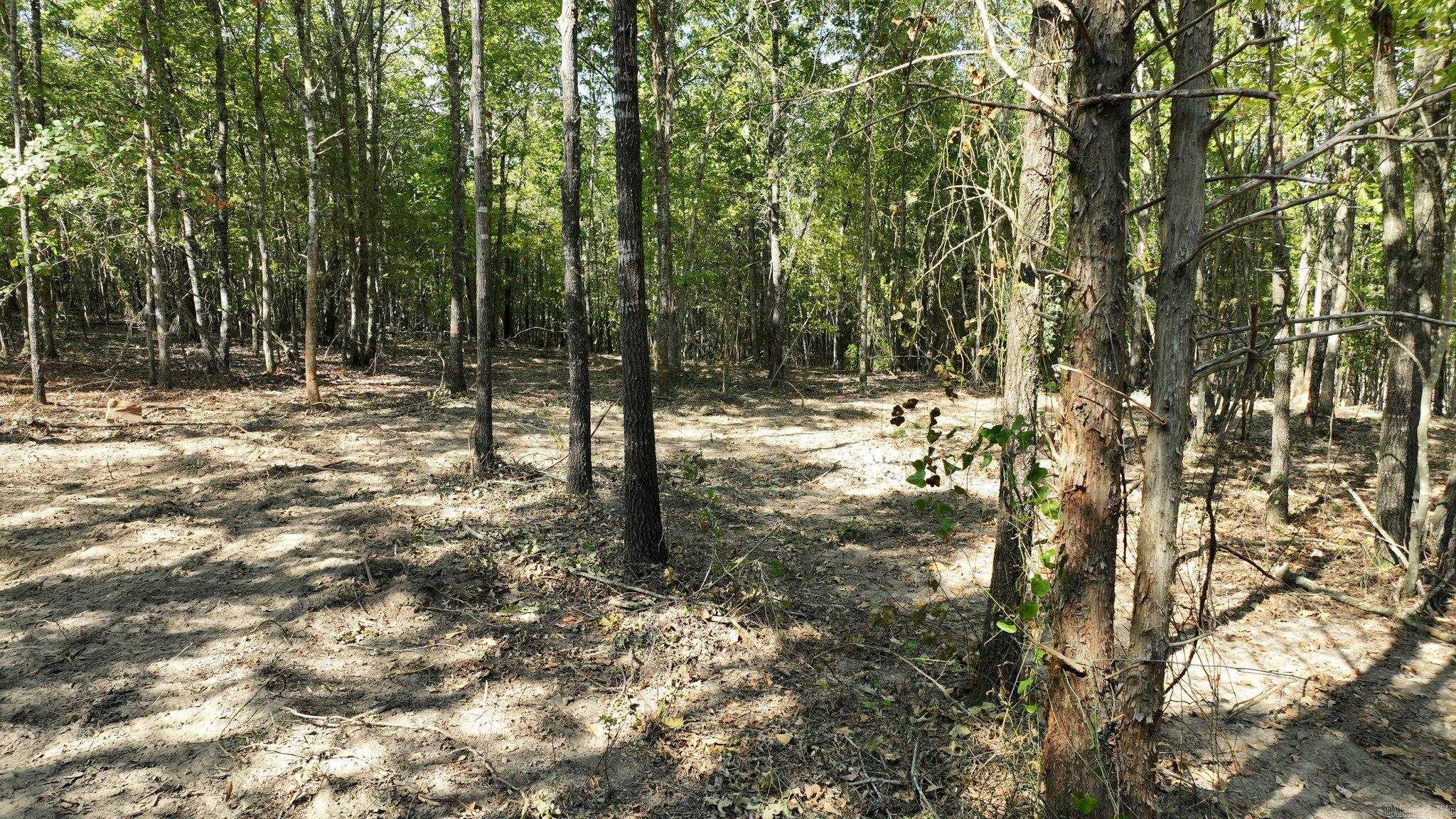 TBD, Tract 3 Polk Road 158  Mena, AR