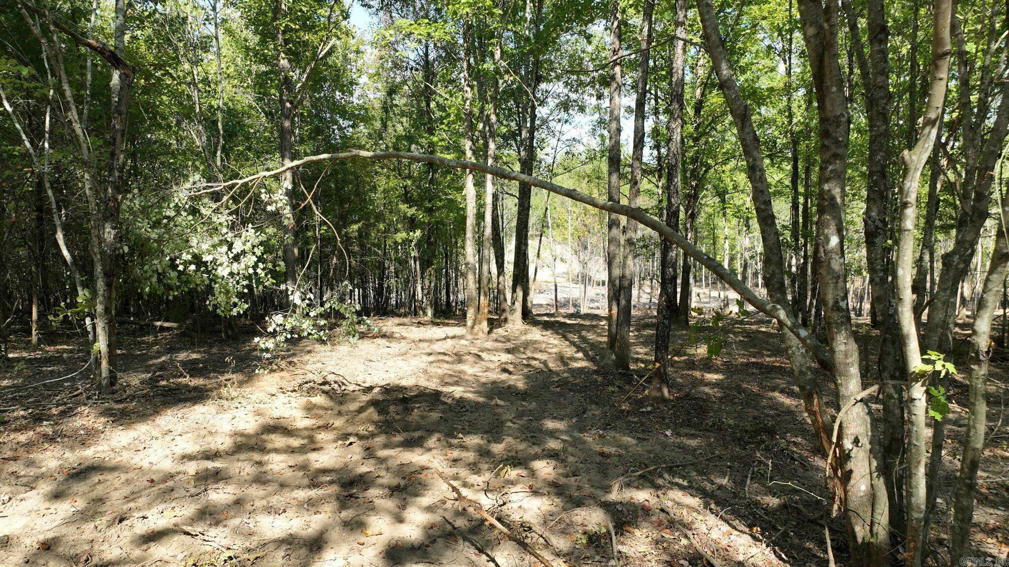 TBD, Tract 3 Polk Road 158  Mena, AR