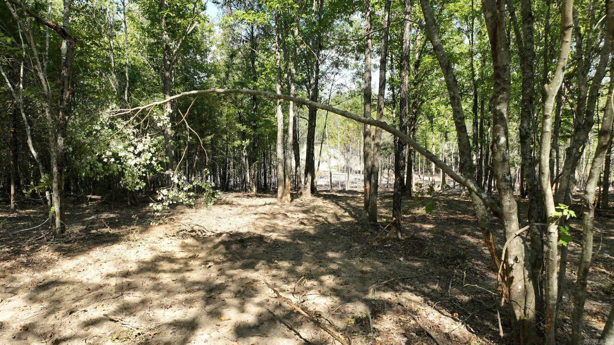 TBD, Tract 3 Polk Road 158  Mena, AR