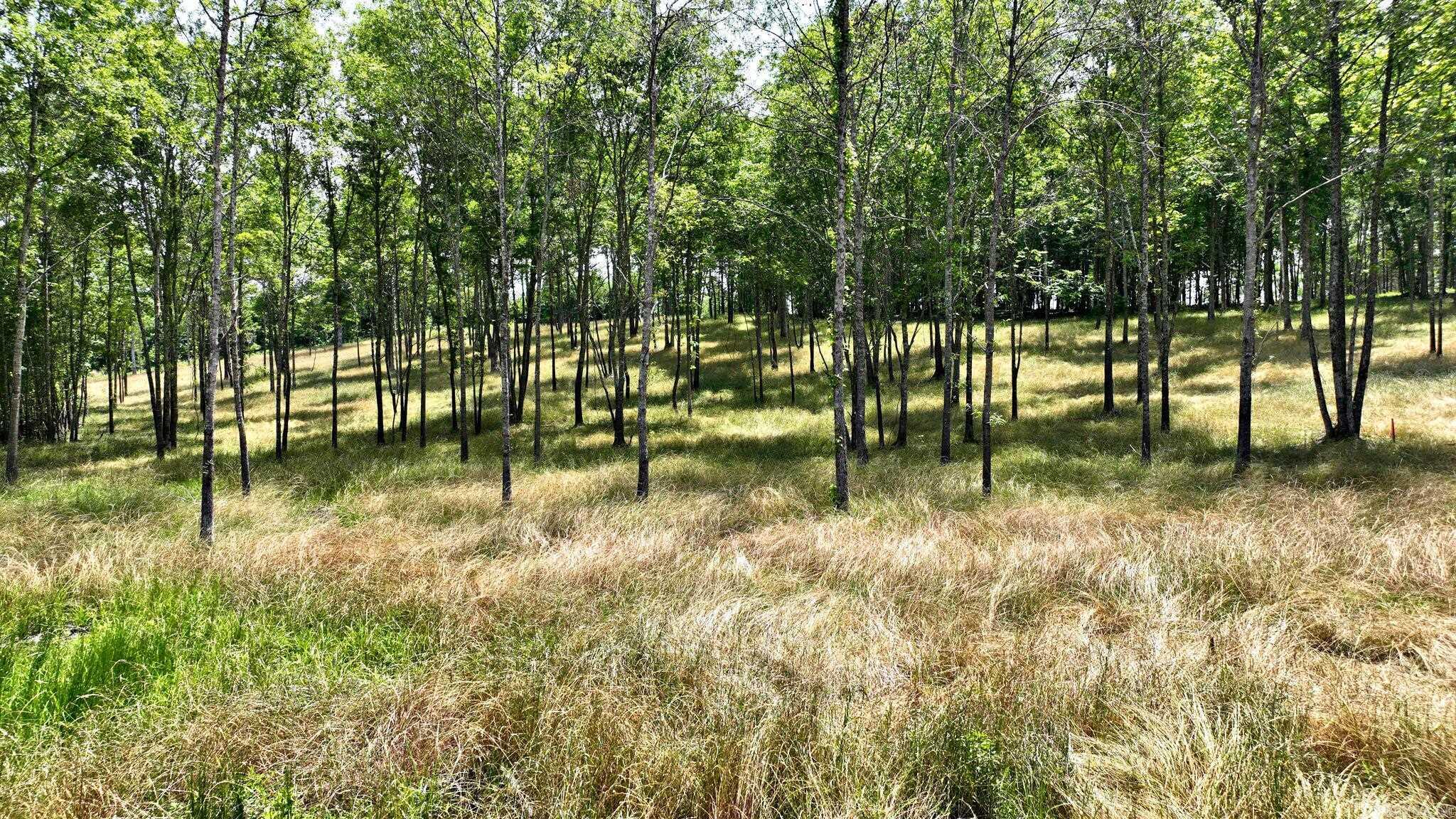 TBD, Tract 4 Polk Road 158  Mena, AR