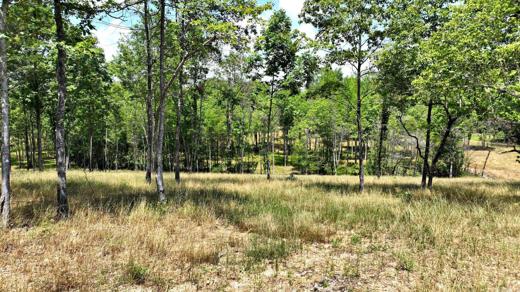 TBD, Tract 4 Polk Road 158  Mena, AR