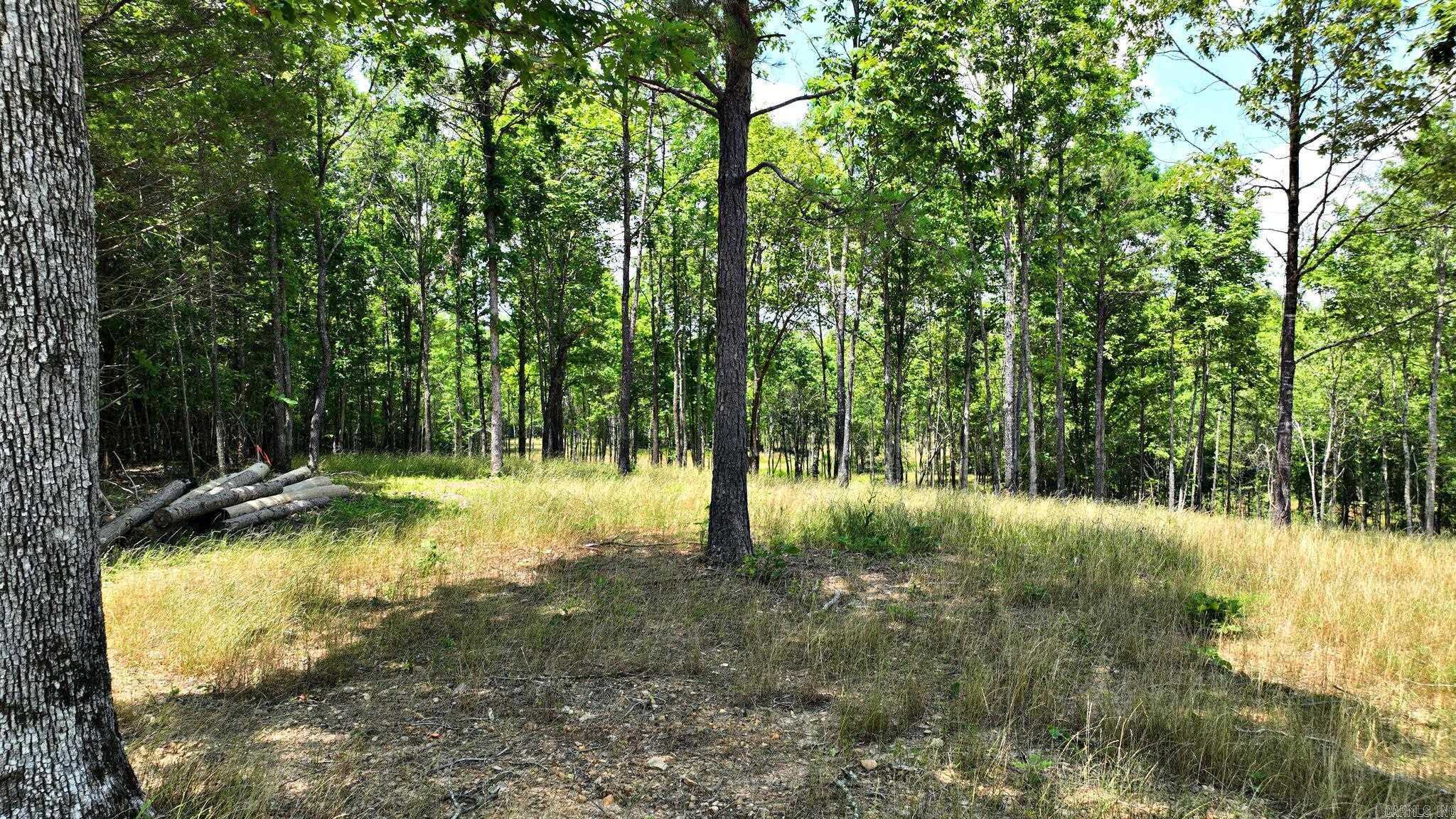TBD, Tract 4 Polk Road 158  Mena, AR