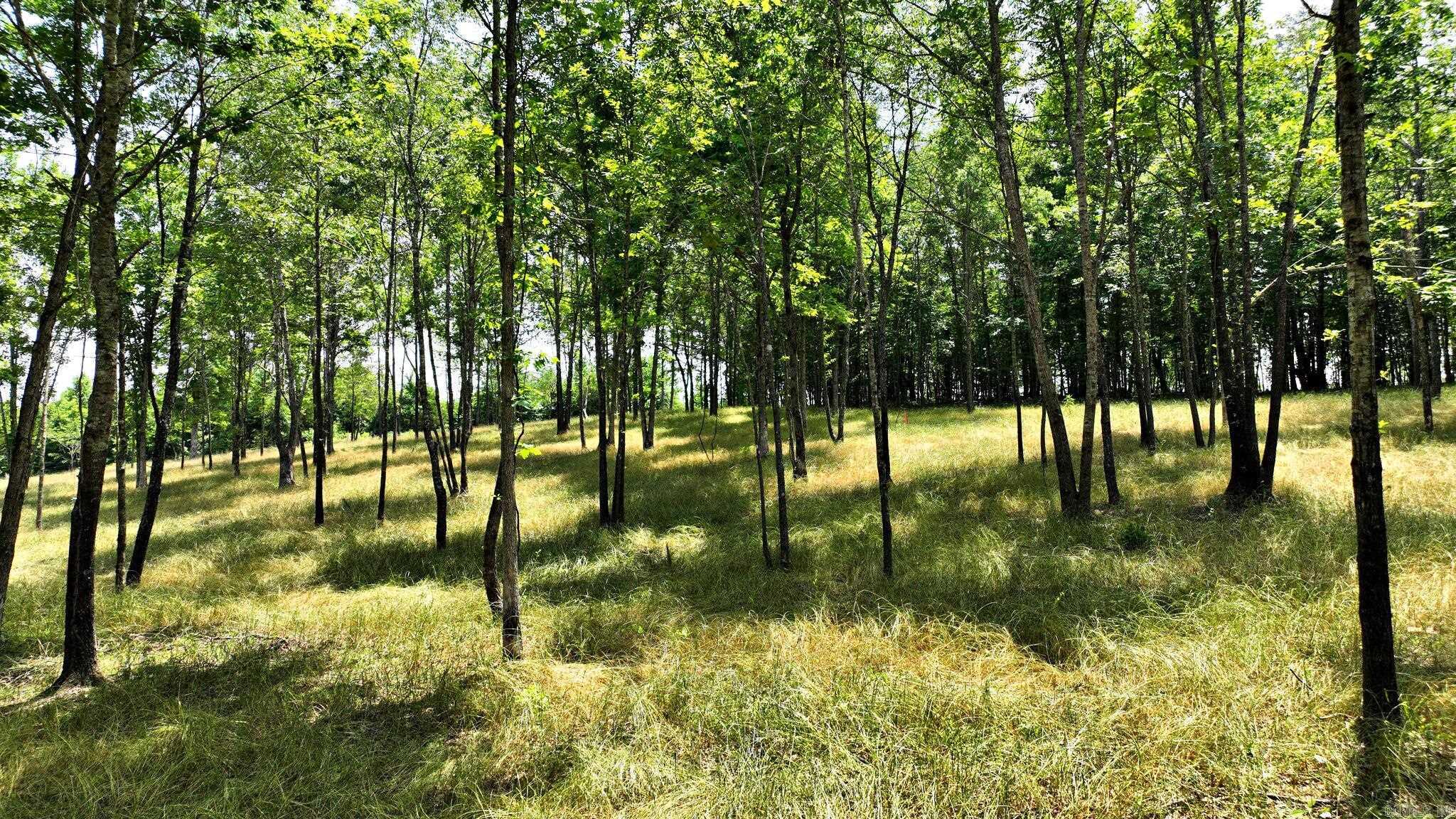 TBD, Tract 4 Polk Road 158  Mena, AR