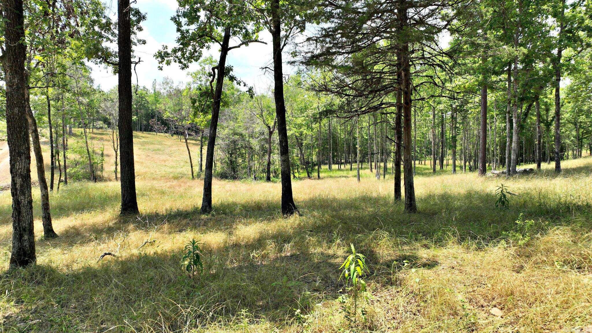 TBD, Tract 4 Polk Road 158  Mena, AR
