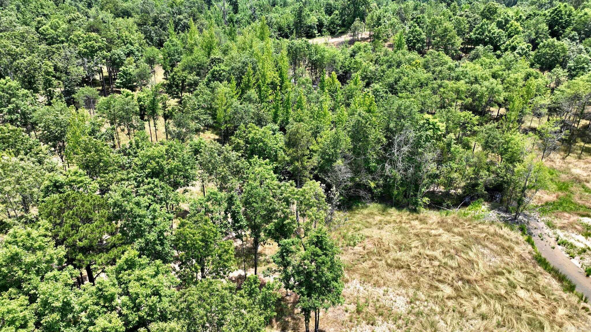 TBD, Tract 4 Polk Road 158  Mena, AR