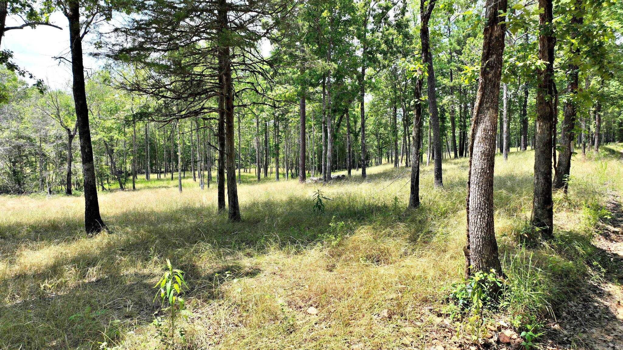 TBD, Tract 4 Polk Road 158  Mena, AR