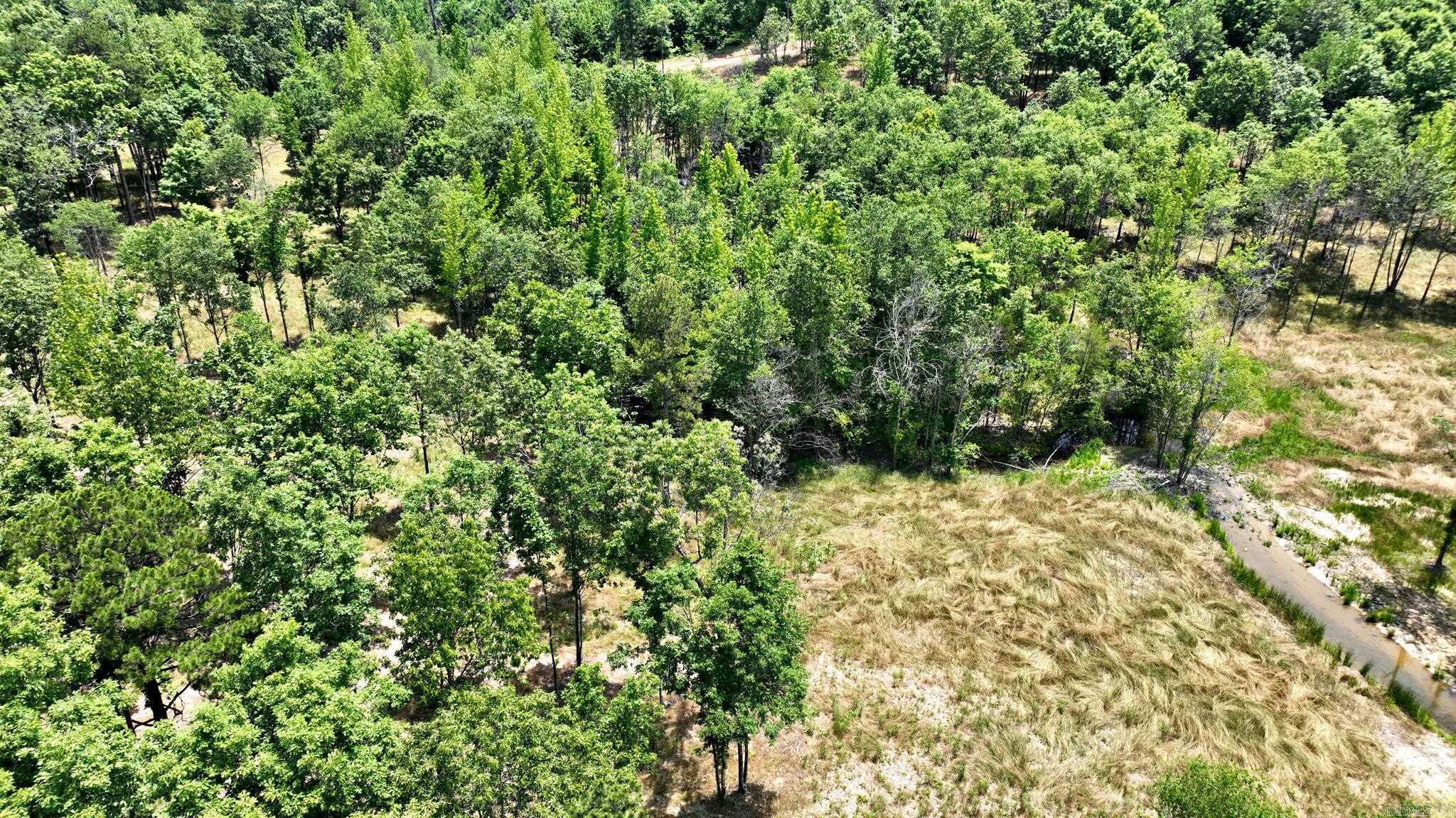 TBD, Tract 4 Polk Road 158  Mena, AR
