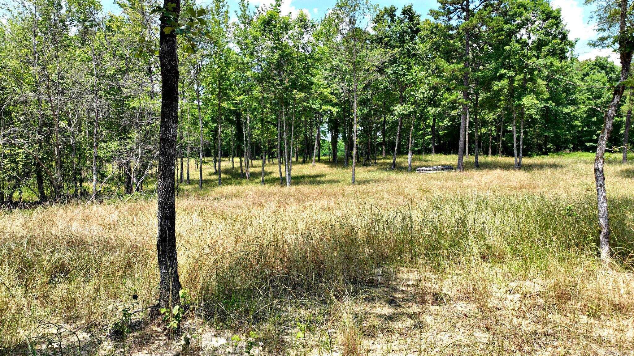 TBD, Tract 4 Polk Road 158  Mena, AR