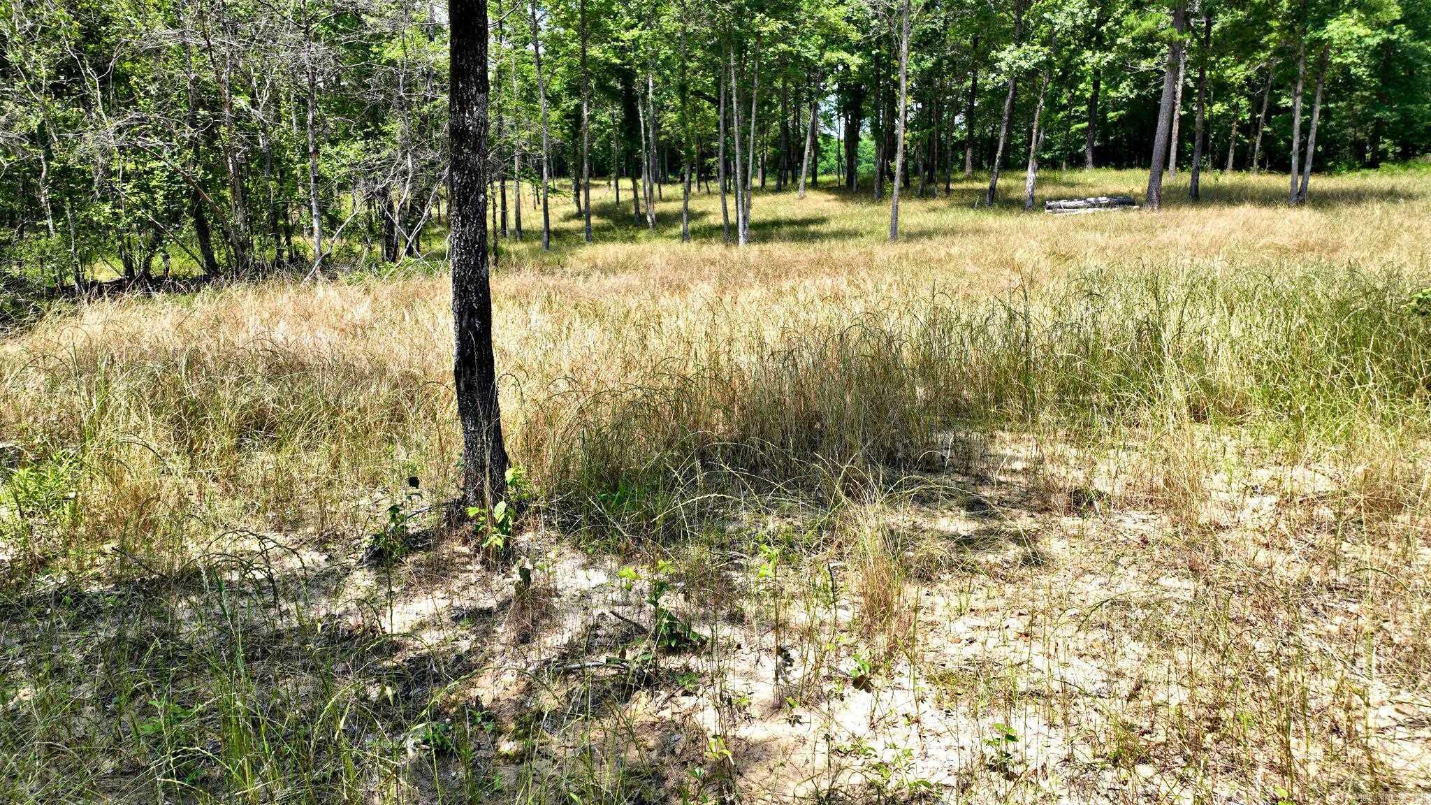 TBD, Tract 4 Polk Road 158  Mena, AR