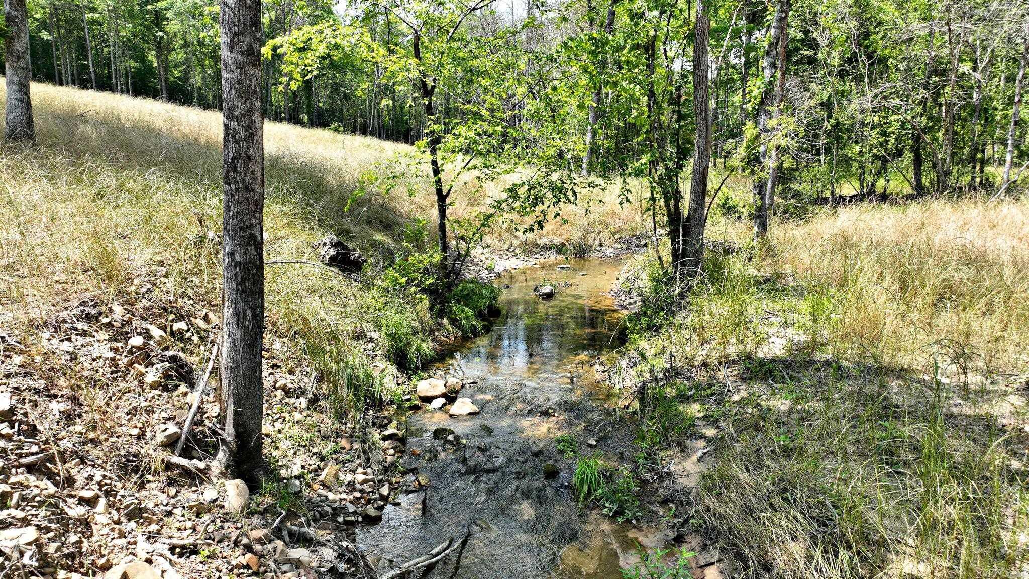 TBD, Tract 4 Polk Road 158  Mena, AR