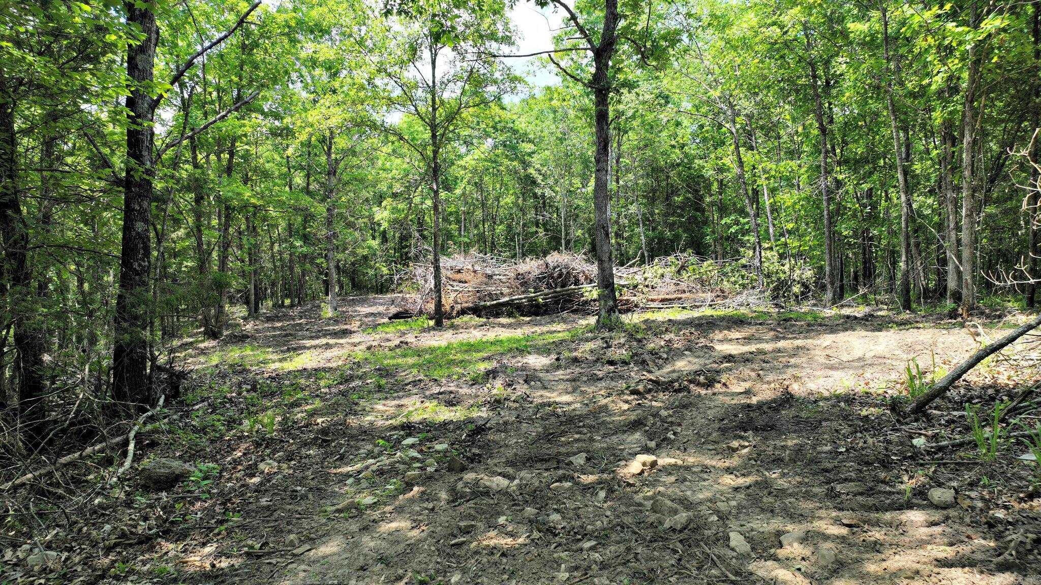 TBD, Tract 2 Polk Road 158  Mena, AR