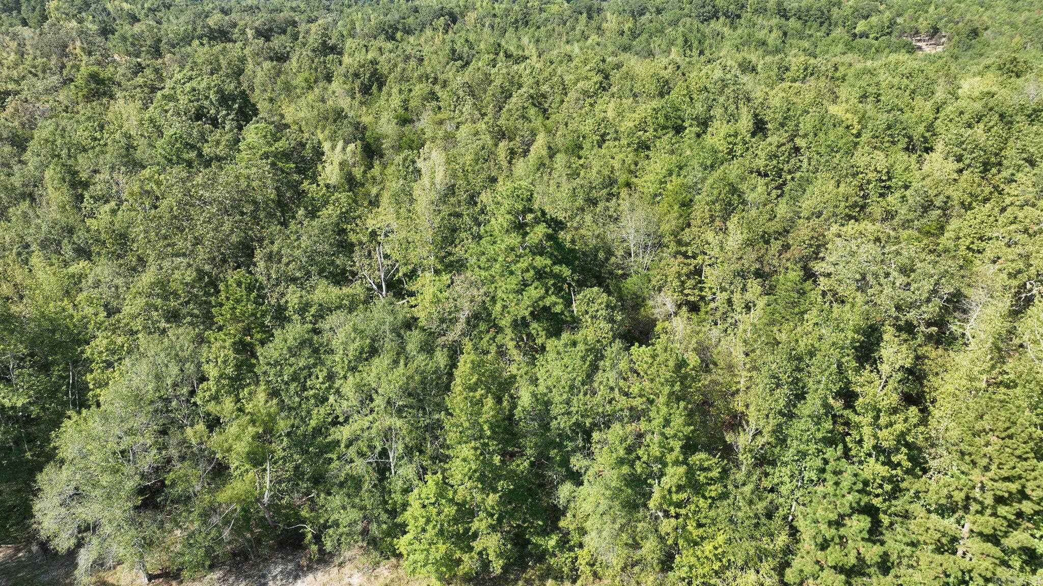 TBD, Tract 2 Polk Road 158  Mena, AR