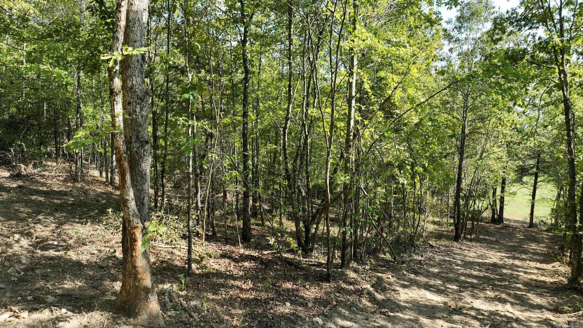 TBD, Tract 2 Polk Road 158  Mena, AR