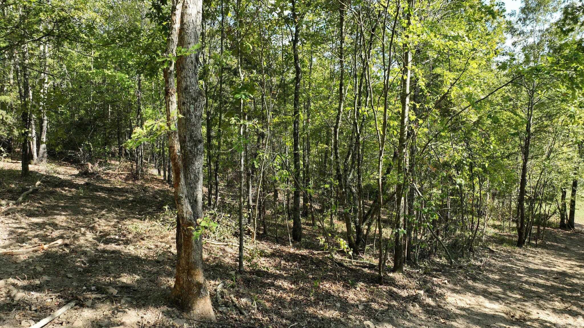 TBD, Tract 2 Polk Road 158  Mena, AR