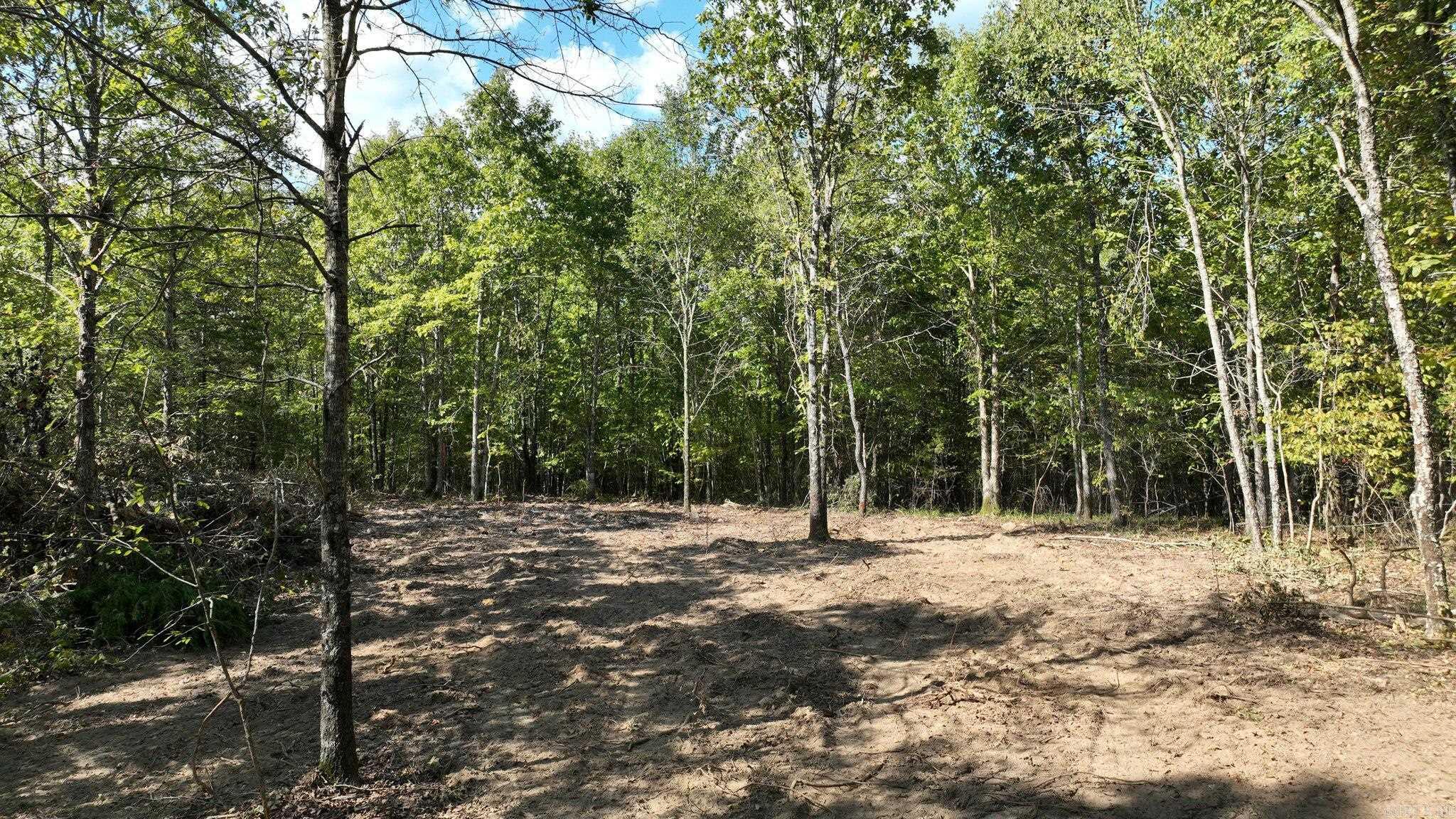 TBD, Tract 2 Polk Road 158  Mena, AR