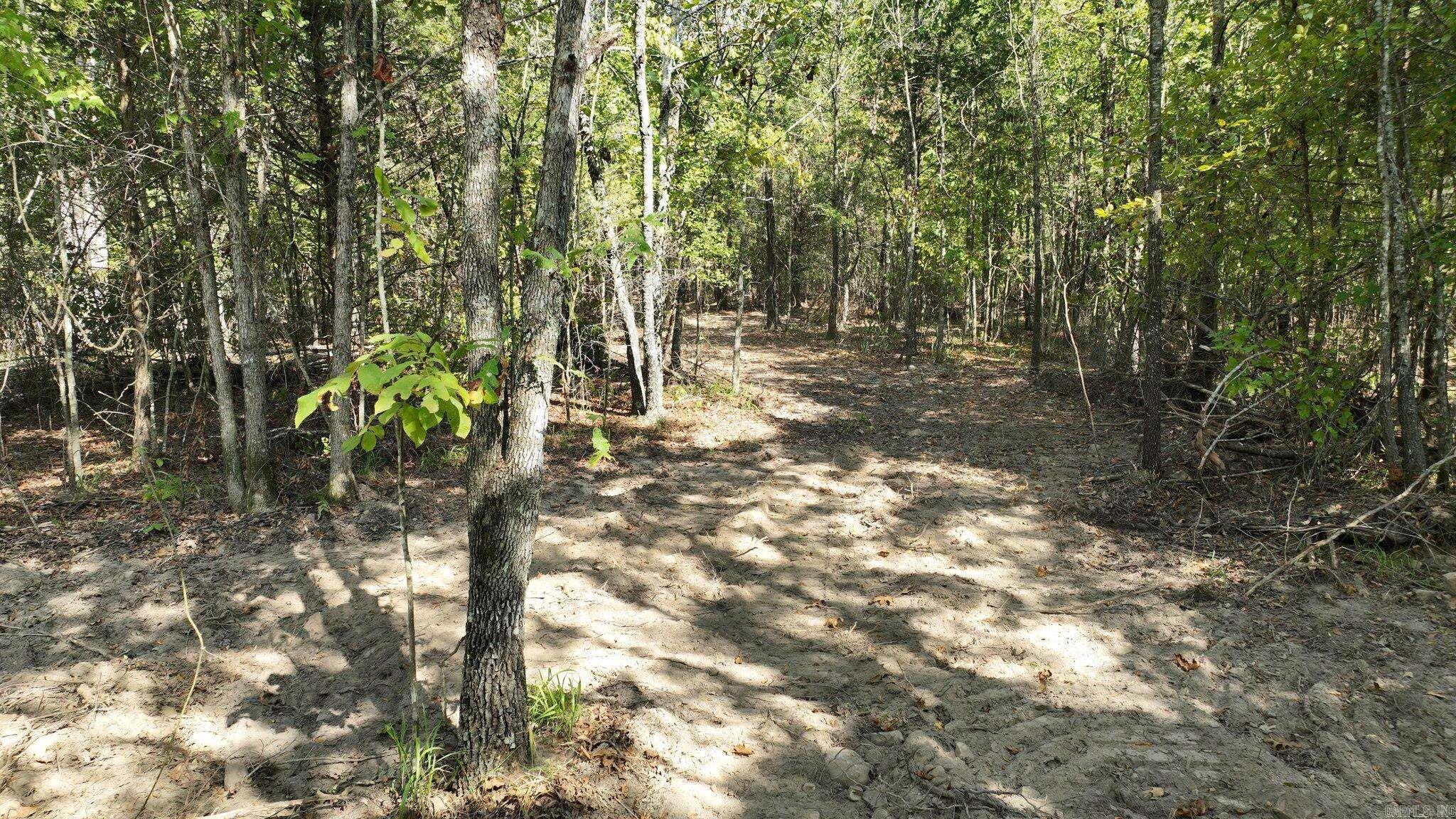 TBD, Tract 2 Polk Road 158  Mena, AR