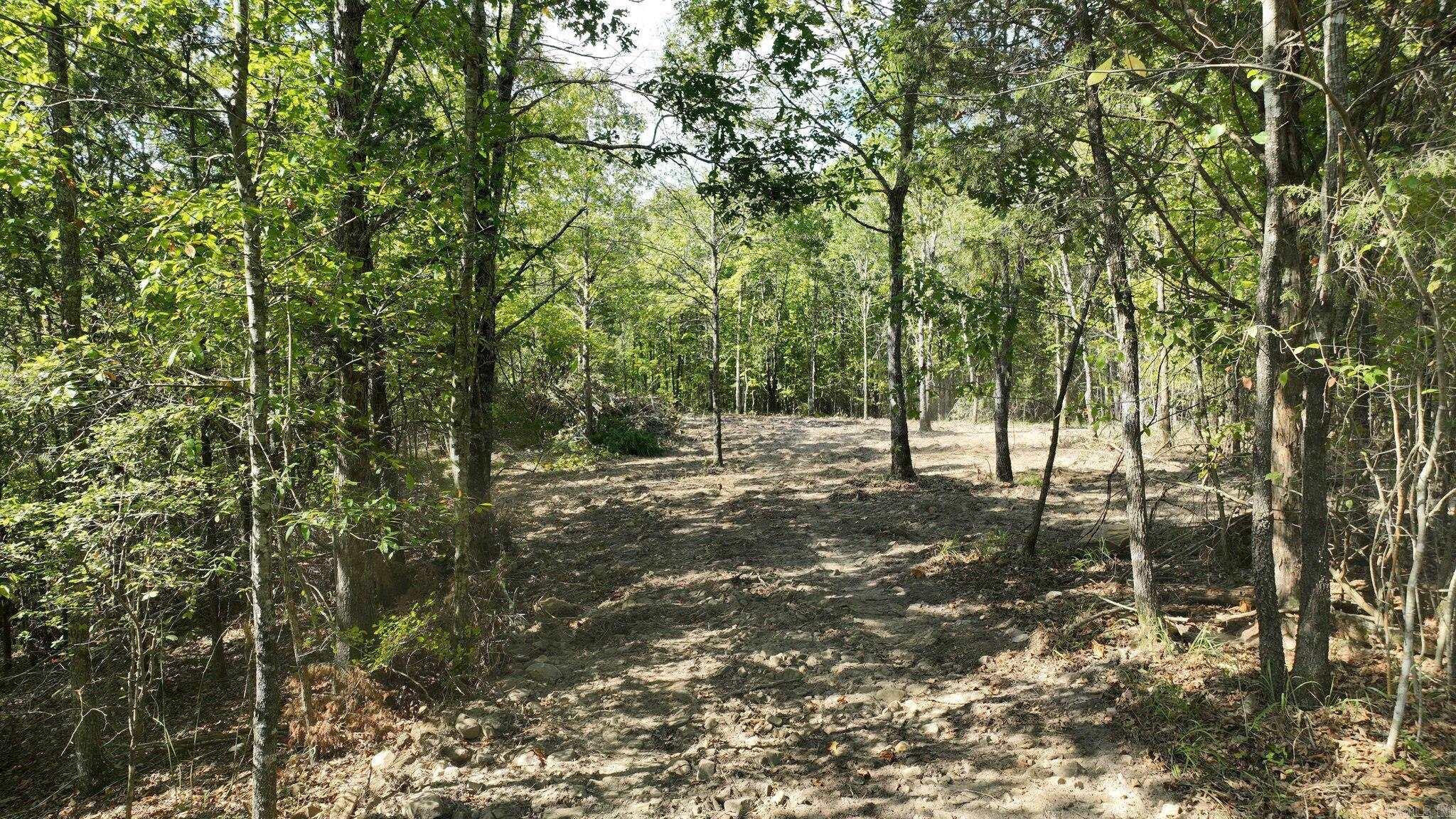 TBD, Tract 2 Polk Road 158  Mena, AR