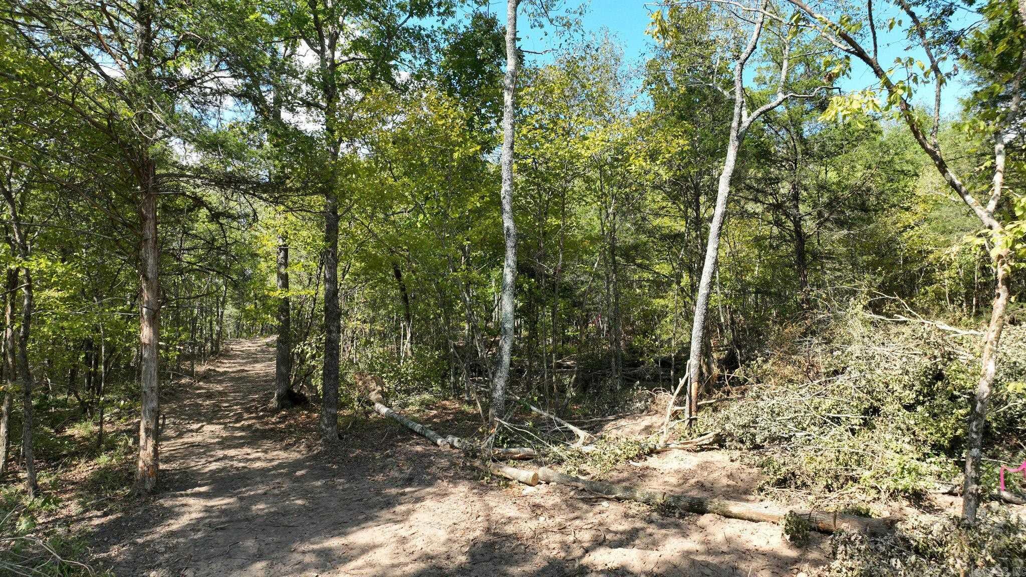 TBD, Tract 2 Polk Road 158  Mena, AR