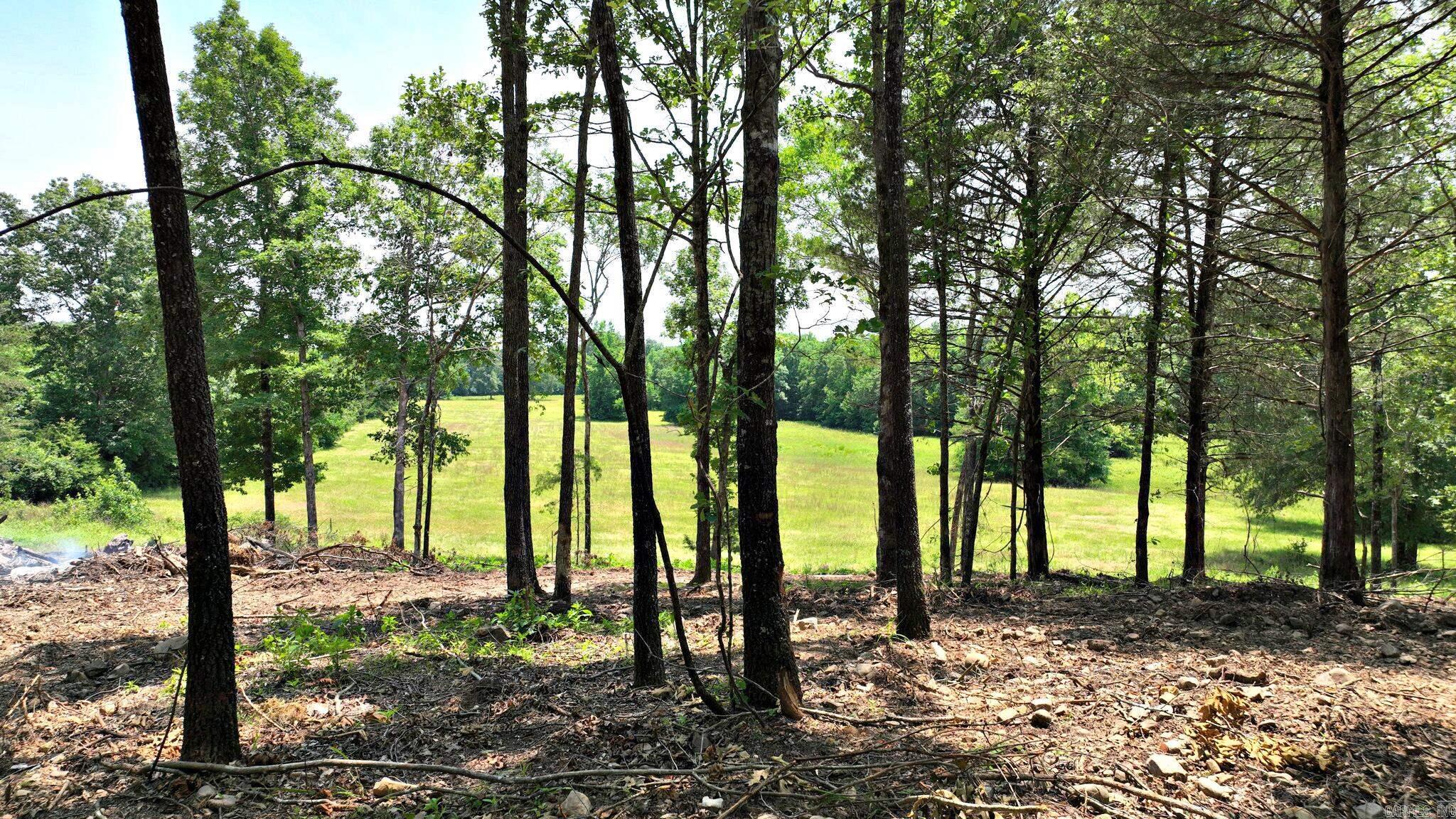 TBD, Tract 2 Polk Road 158  Mena, AR