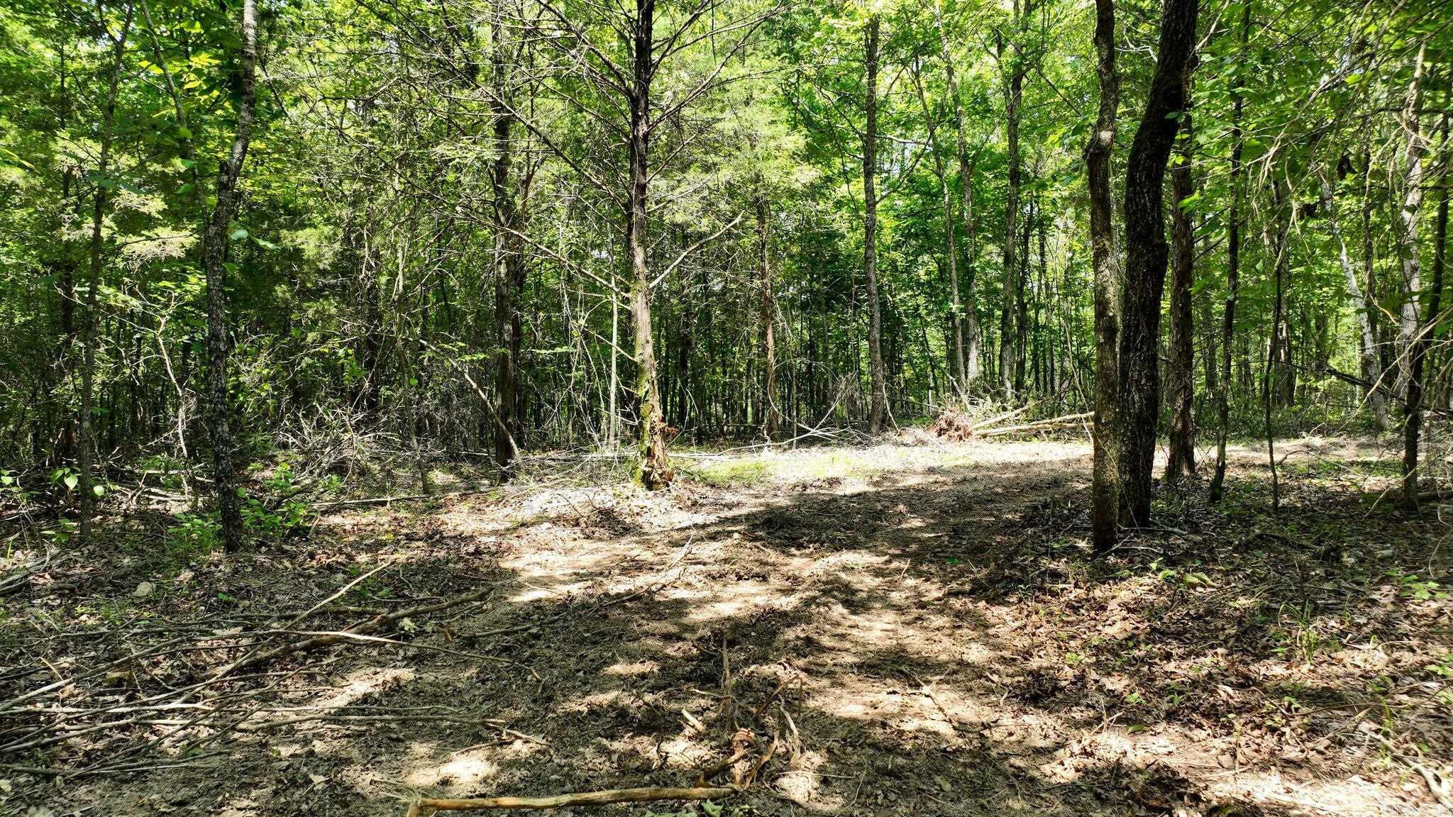 TBD, Tract 2 Polk Road 158  Mena, AR