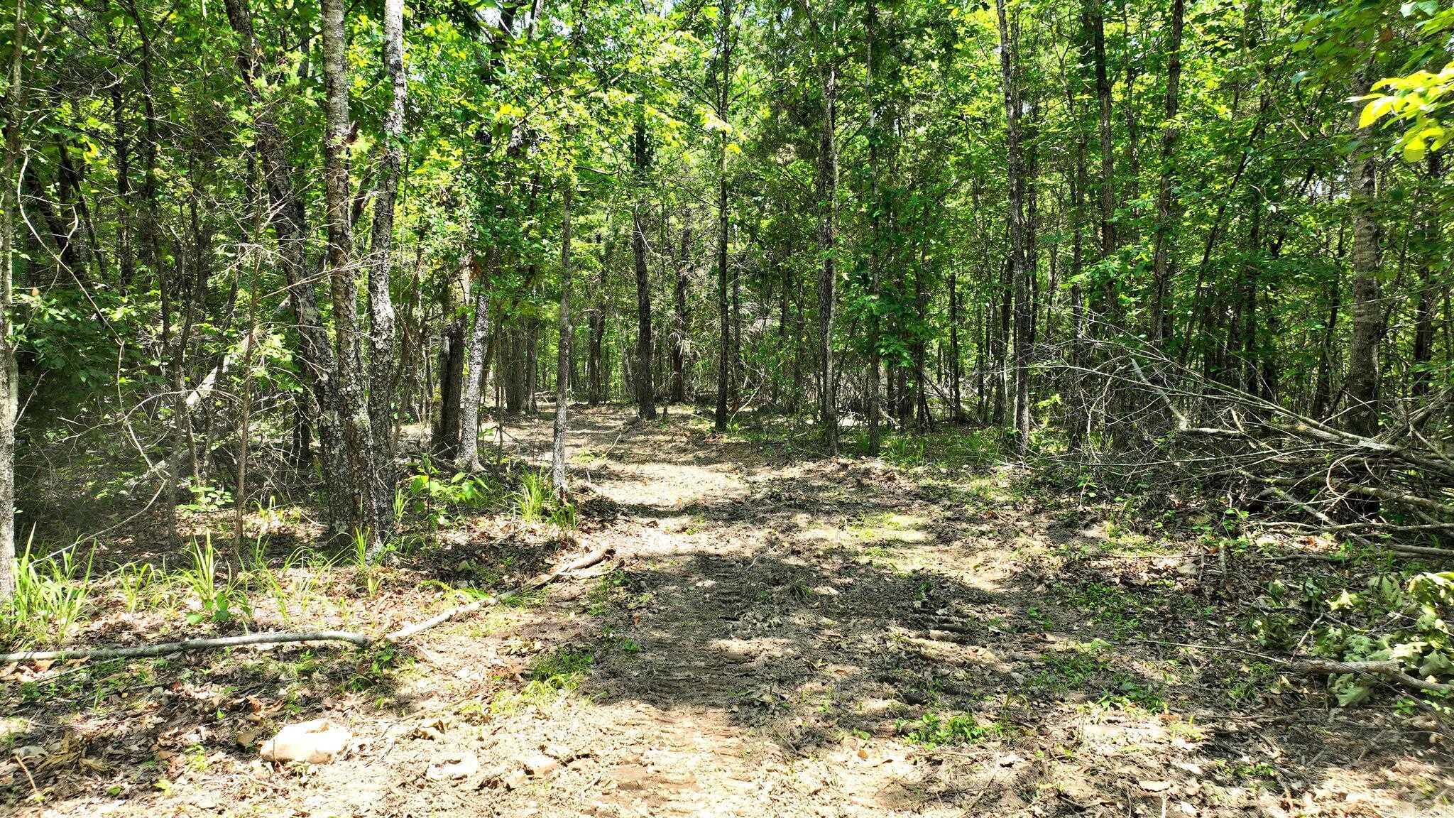 TBD, Tract 2 Polk Road 158  Mena, AR