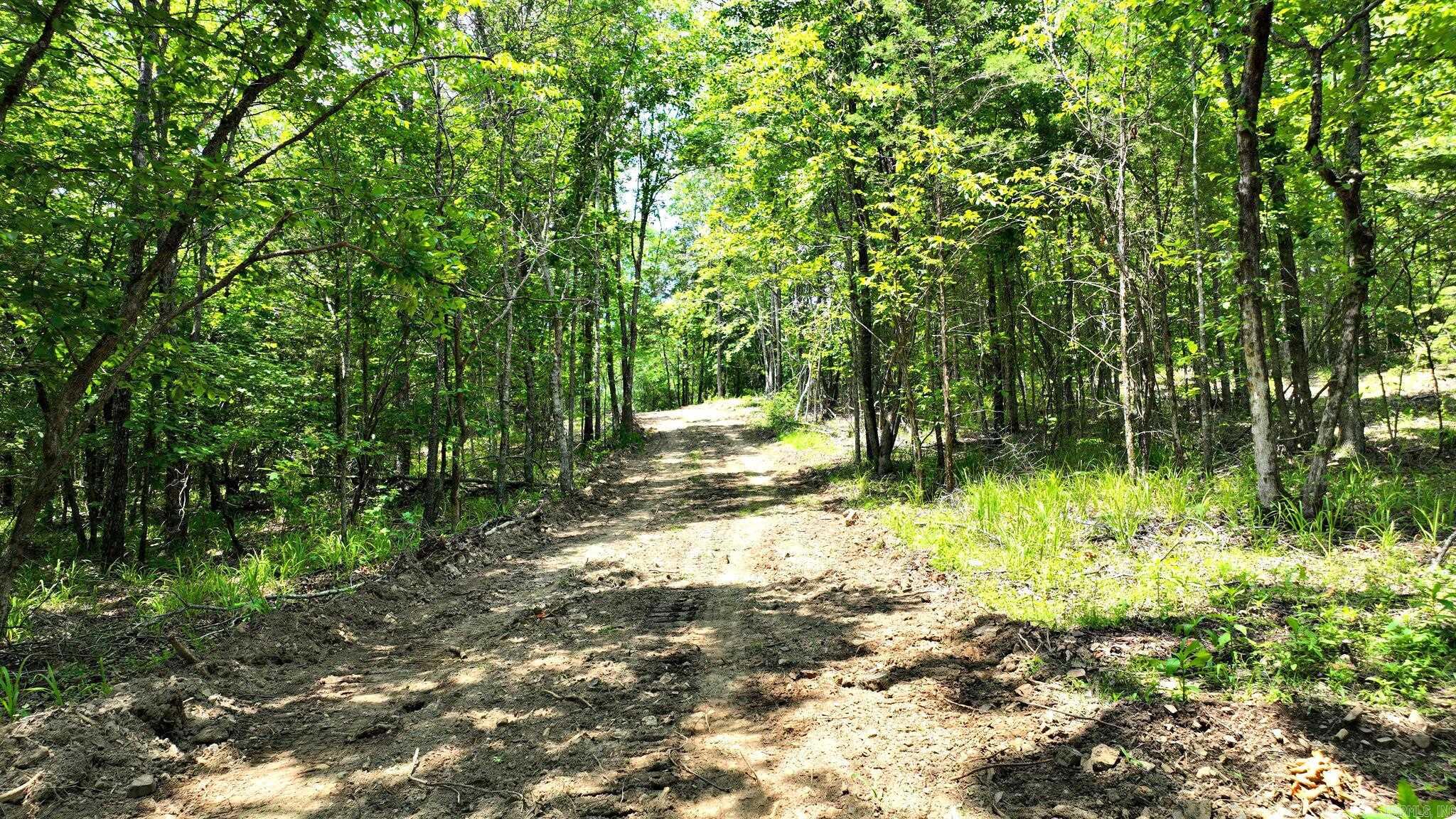 TBD, Tract 2 Polk Road 158  Mena, AR