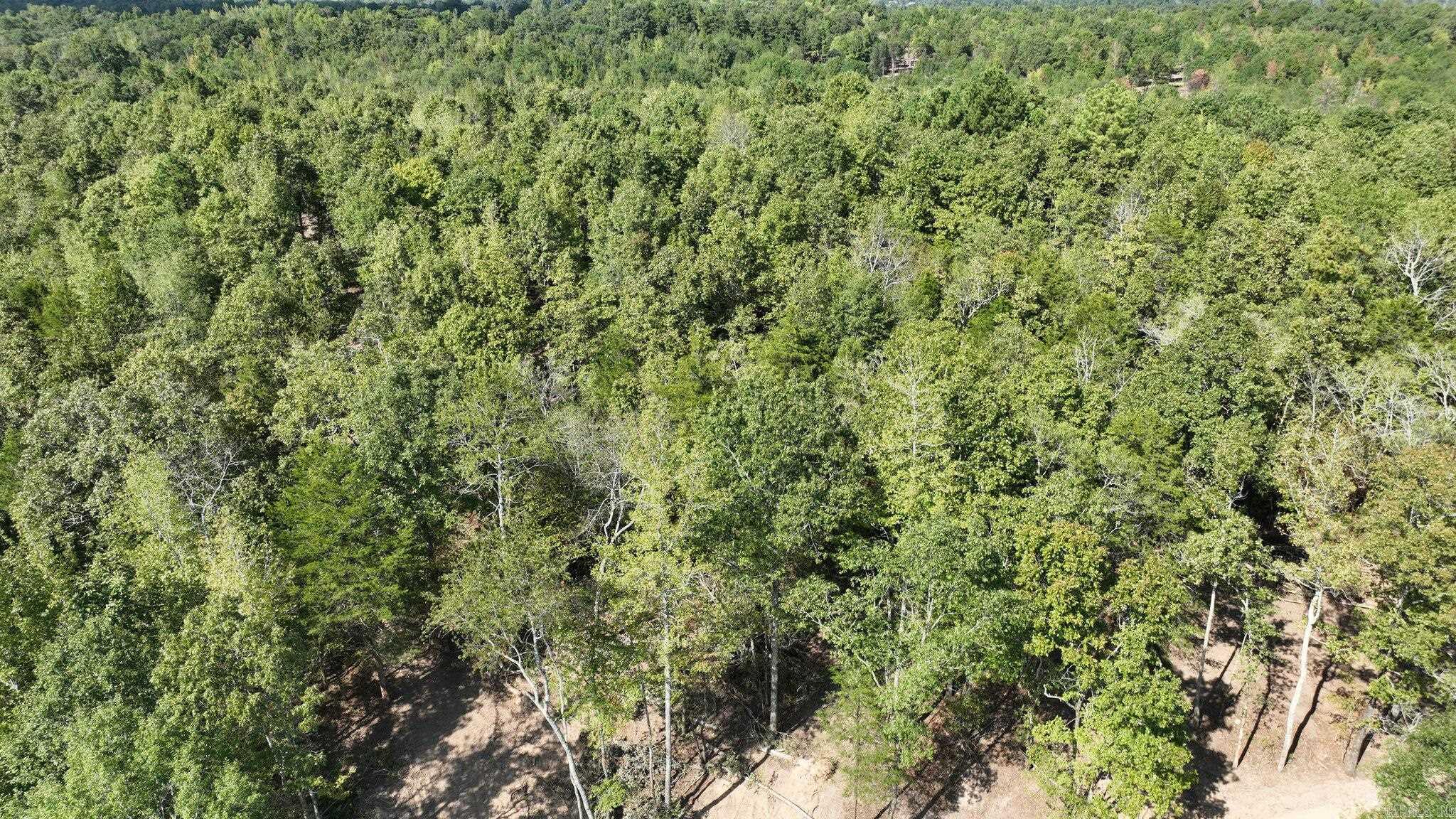 TBD, Tract 2 Polk Road 158  Mena, AR