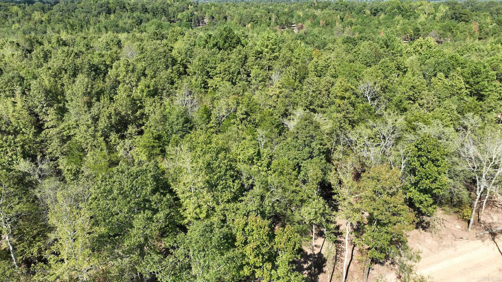 TBD, Tract 2 Polk Road 158  Mena, AR