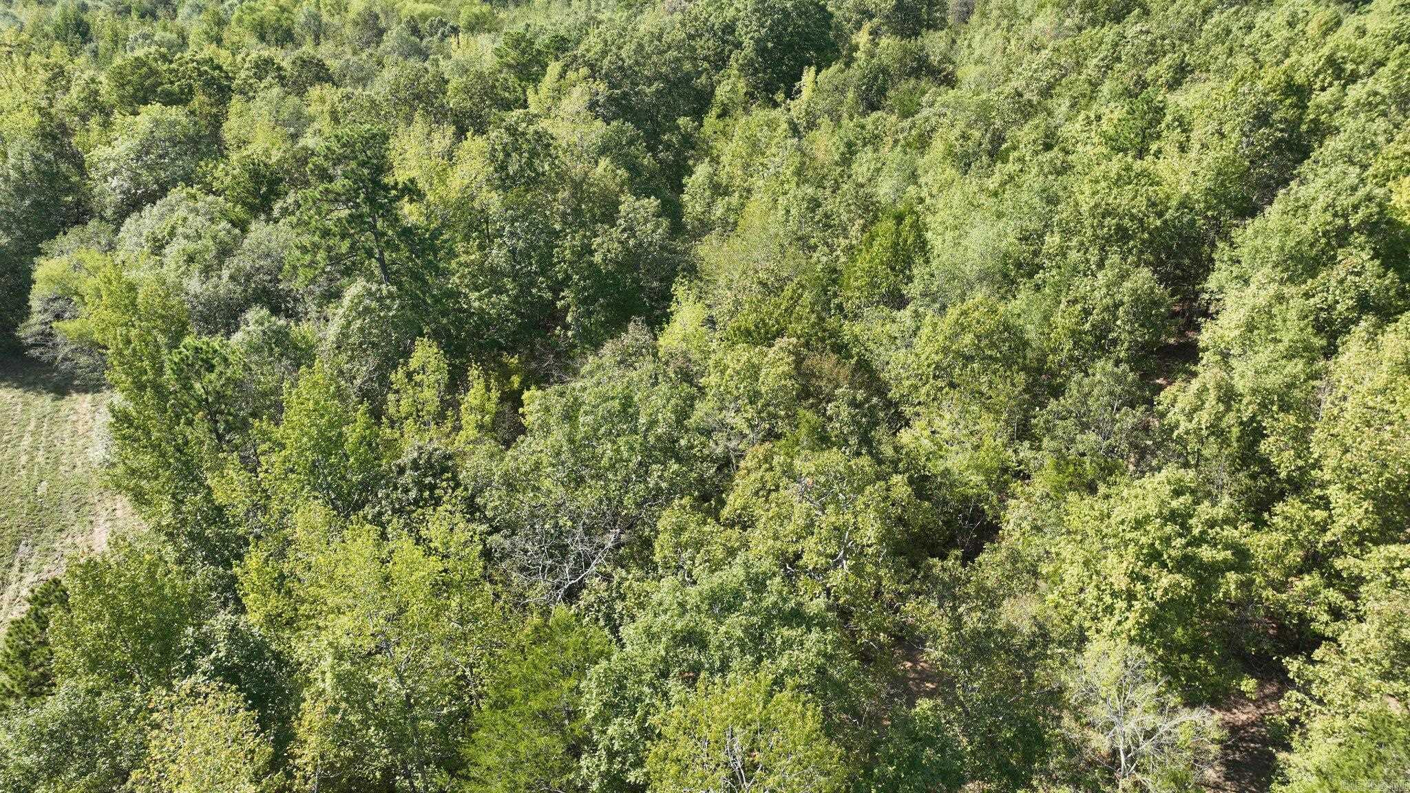 TBD, Tract 2 Polk Road 158  Mena, AR