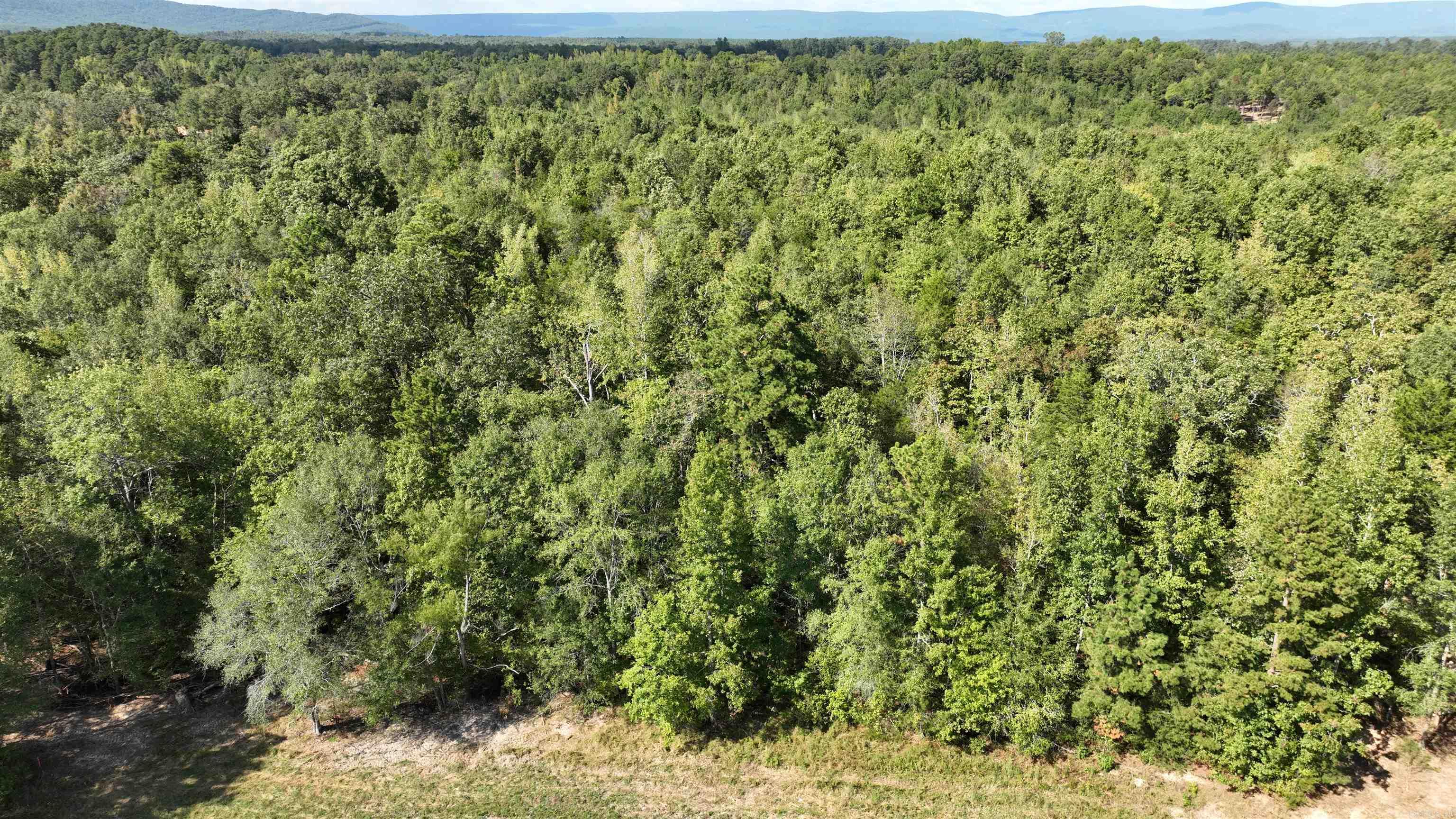 TBD, Tract 2 Polk Road 158  Mena, AR