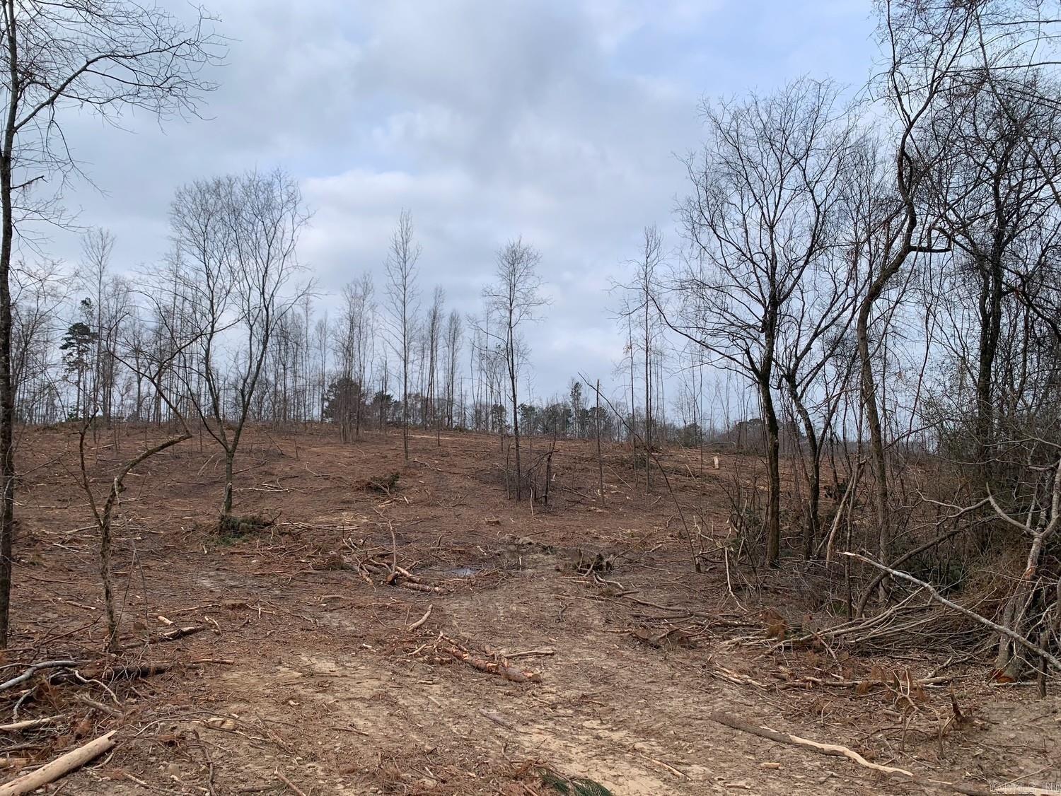 Tract 4 11395 Hwy 84  Bismarck, AR