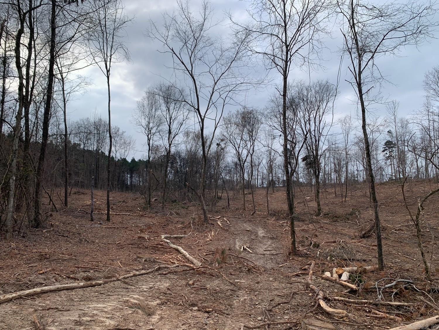 Tract 4 11395 Hwy 84  Bismarck, AR